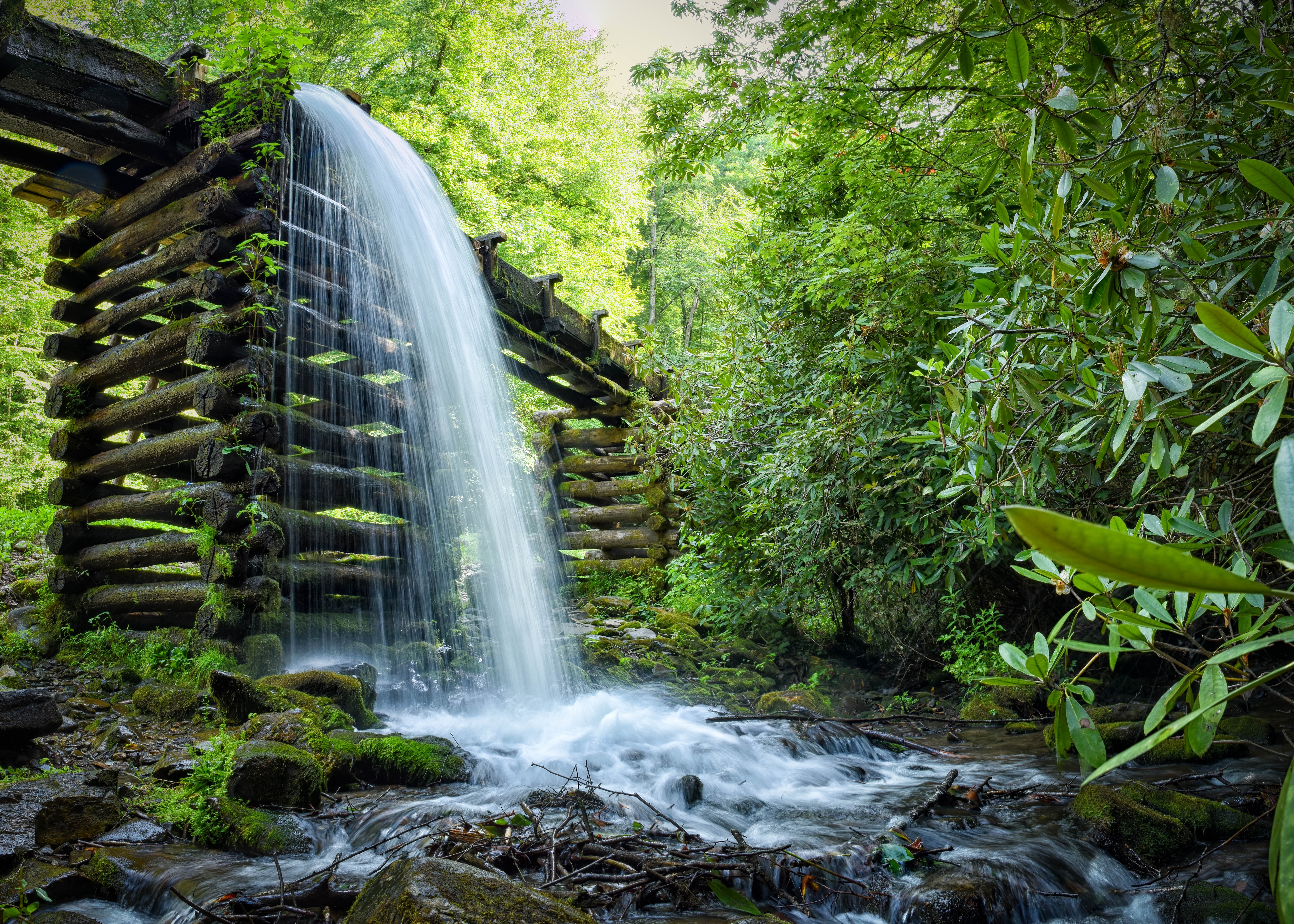 Обои деревья, каскад, вода, река, лес, пейзаж, листва, водопад, поток, trees, cascade, water, river, forest, landscape, foliage, waterfall, stream разрешение 6694x4781 Загрузить