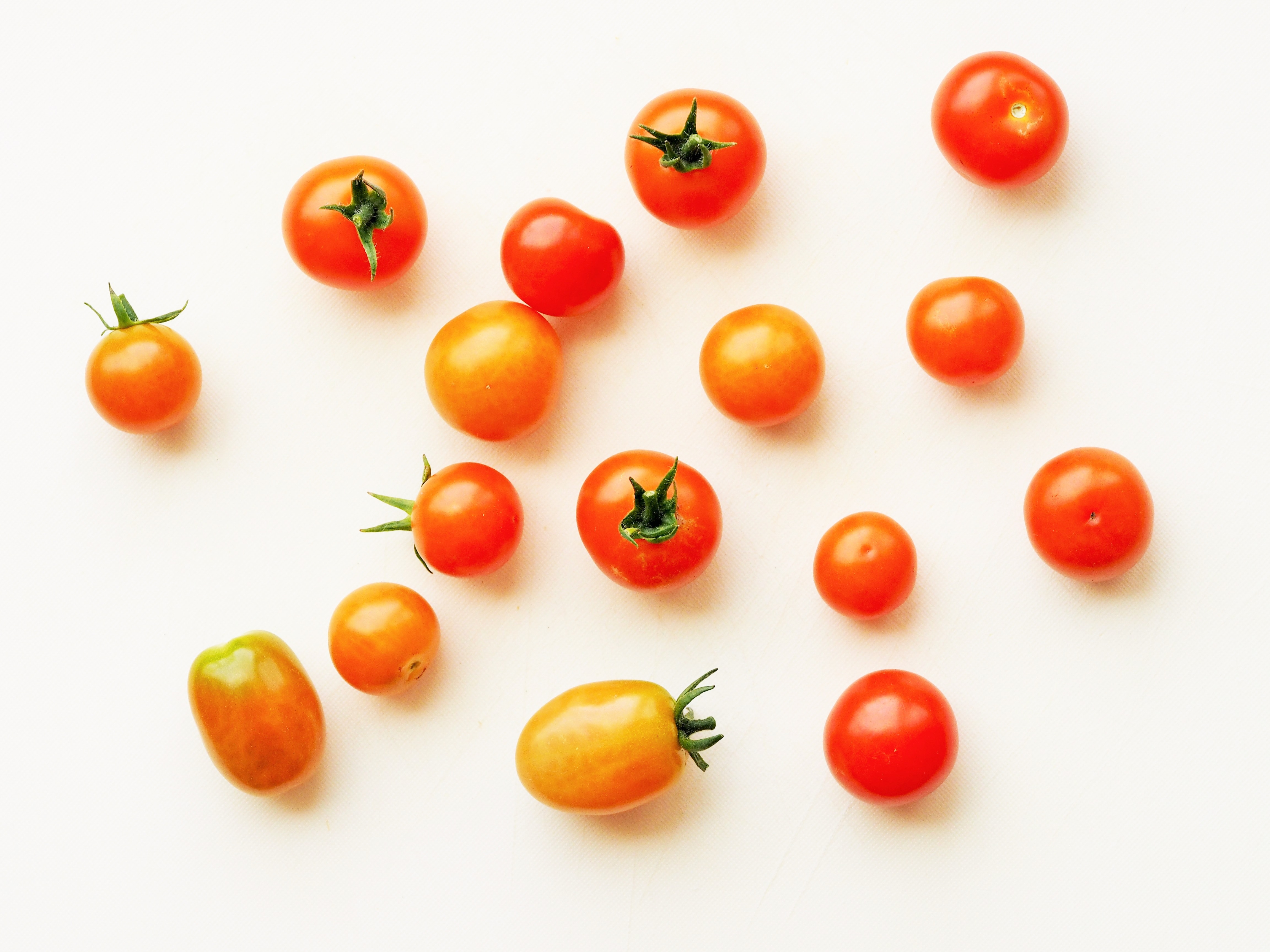 Обои белый фон, овощи, помидоры, томаты, черри, white background, vegetables, tomatoes, cherry разрешение 4608x3456 Загрузить