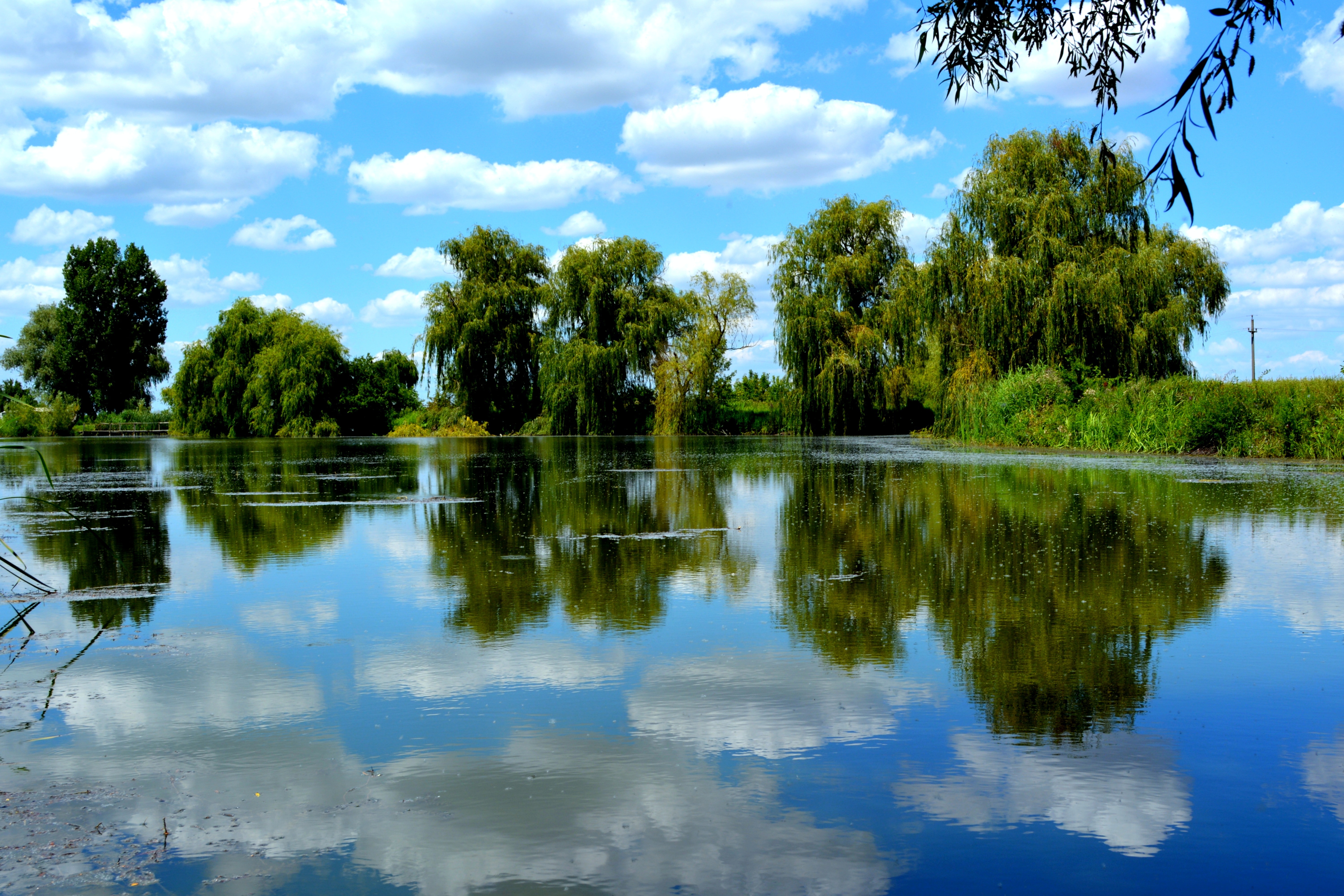 Обои небо, облака, деревья, озеро, отражение, пейзаж, лето, ивы, the sky, clouds, trees, lake, reflection, landscape, summer, willow разрешение 6000x4000 Загрузить