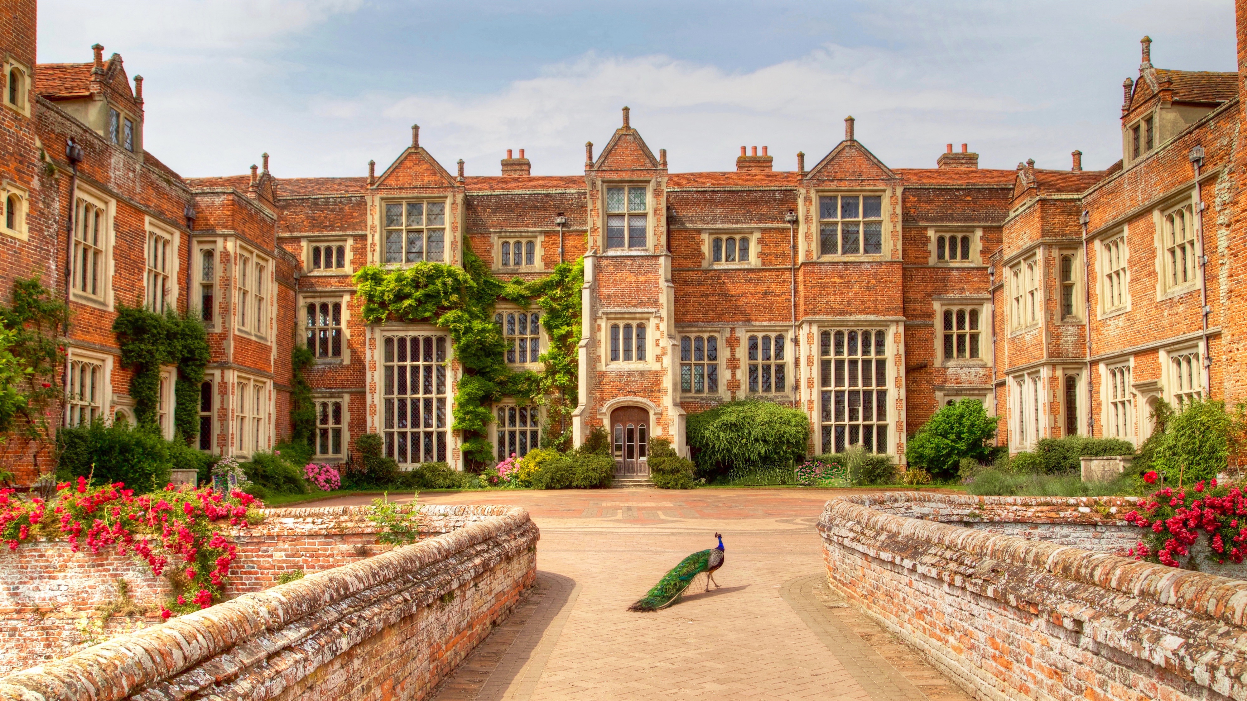 Обои англия, птица, здание, дворец, павлин, особняк, музей, kentwell hall, england, bird, the building, palace, peacock, mansion, museum разрешение 4000x2250 Загрузить