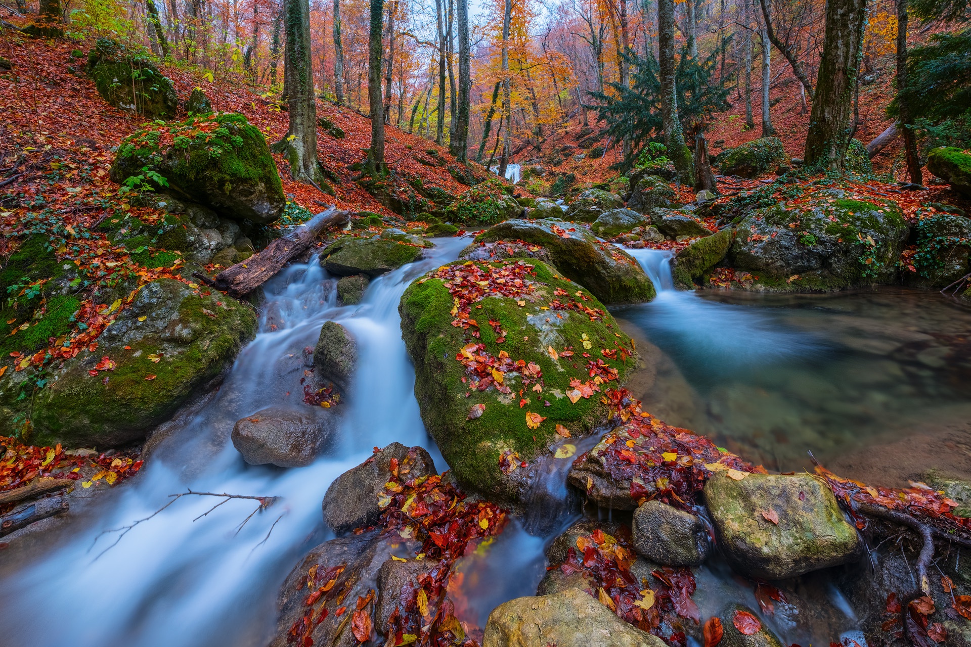 Обои деревья, камни, лес, листья, осень, россия, крым, ручьи, trees, stones, forest, leaves, autumn, russia, crimea, streams разрешение 1920x1280 Загрузить