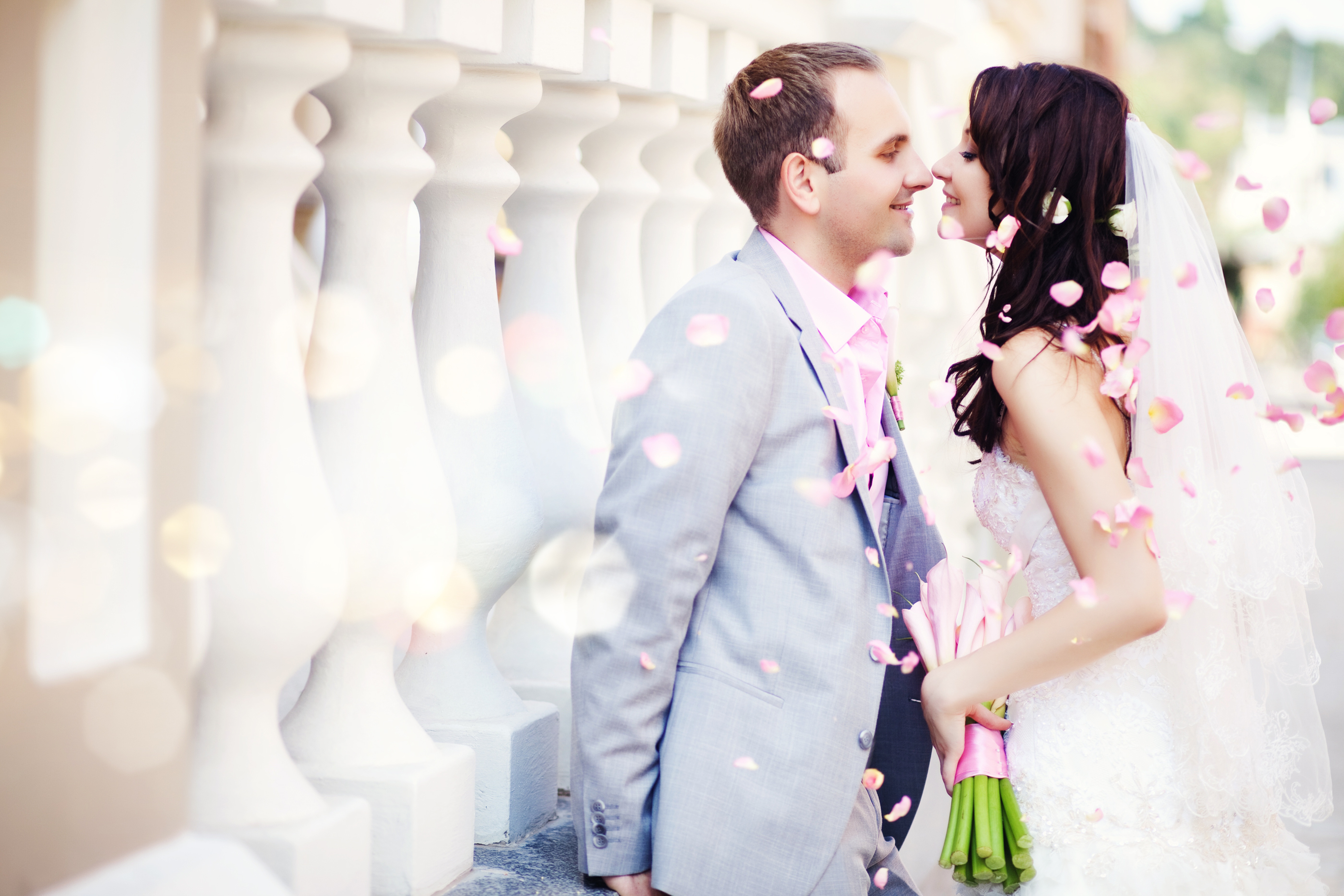 The wedding. Жених и невеста. Свадебная фотосессия. Красивые жених и невеста. Свадебные пары.