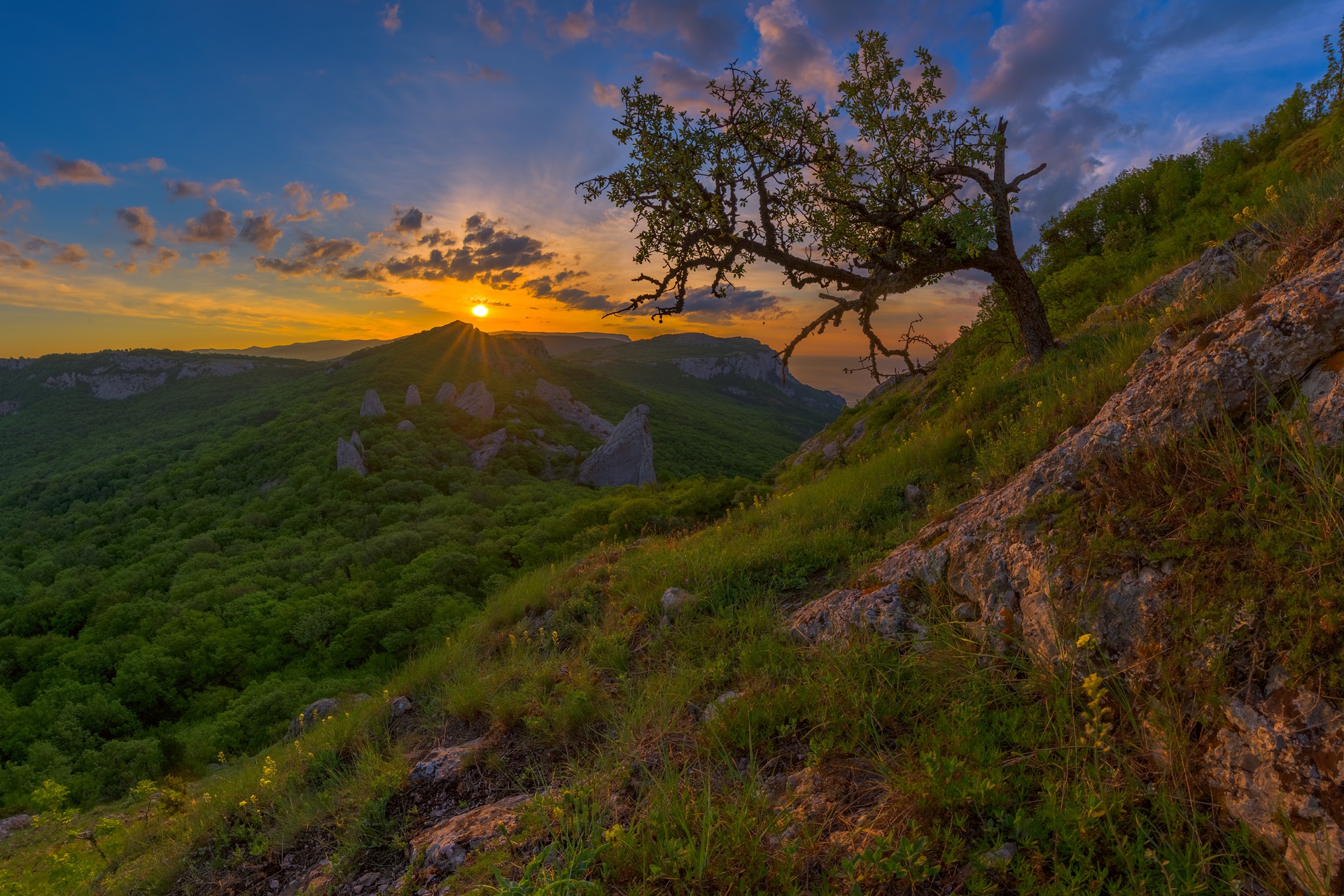 Обои горы, дерево, лес, закат, россия, крым, крымские горы, mountains, tree, forest, sunset, russia, crimea, the crimean mountains разрешение 1920x1280 Загрузить