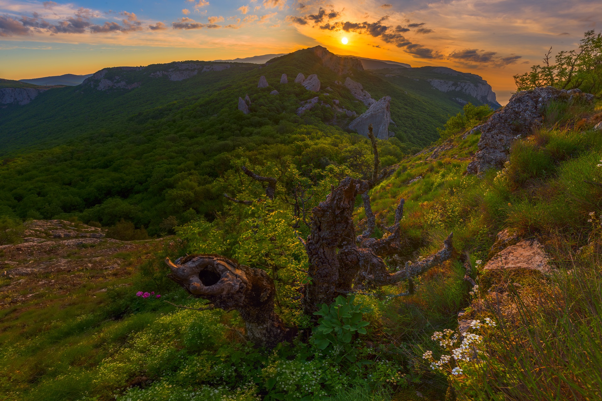 Обои горы, природа, закат, россия, коряга, простор, крым, крымские горы, mountains, nature, sunset, russia, snag, space, crimea, the crimean mountains разрешение 1920x1280 Загрузить