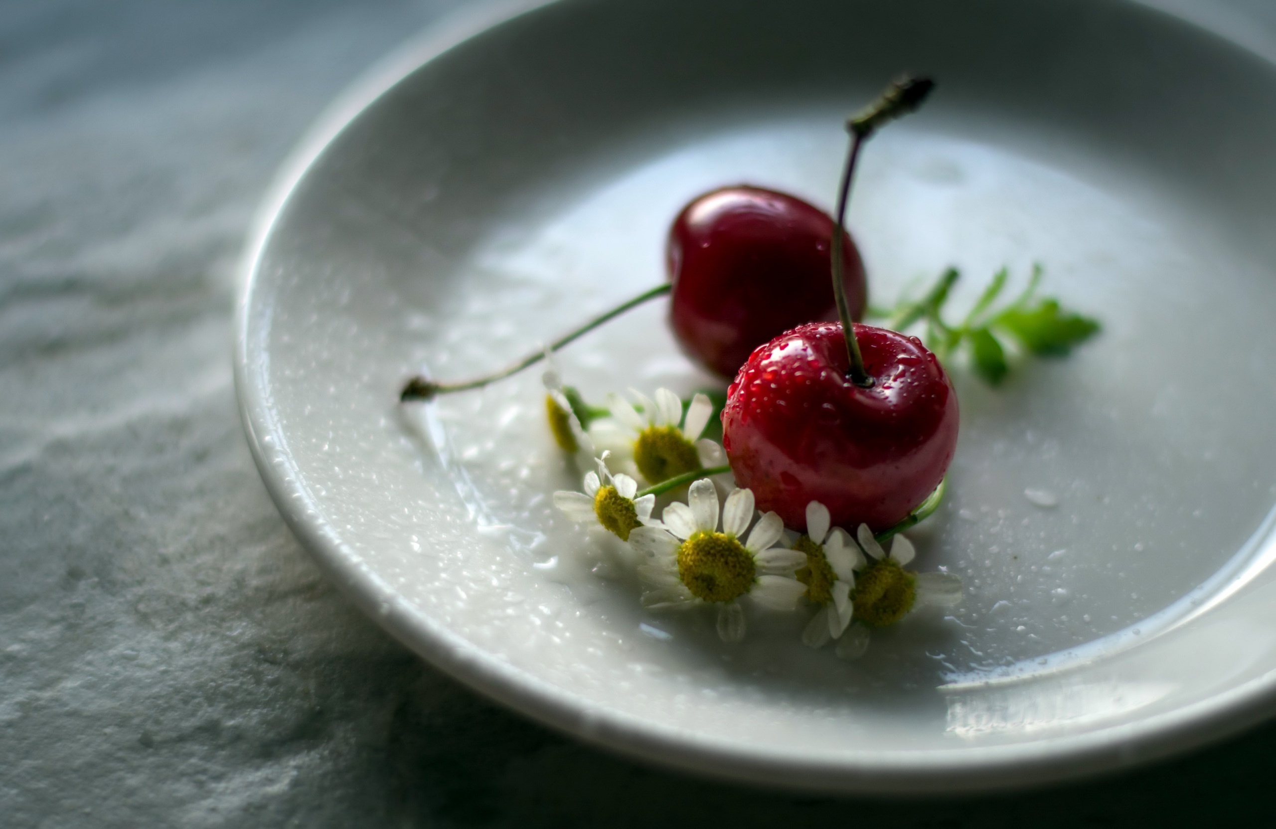 Обои цветы, ромашка, черешня, блюдце, ягоды, вишня, julie jablonski, flowers, daisy, cherry, saucer, berries разрешение 2560x1663 Загрузить