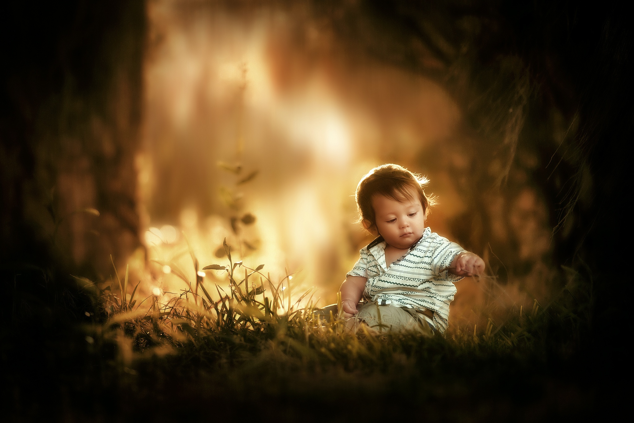 Обои свет, малыш, трава, природа, лес, дети, игра, ребенок, мальчик, light, baby, grass, nature, forest, children, the game, child, boy разрешение 2048x1365 Загрузить