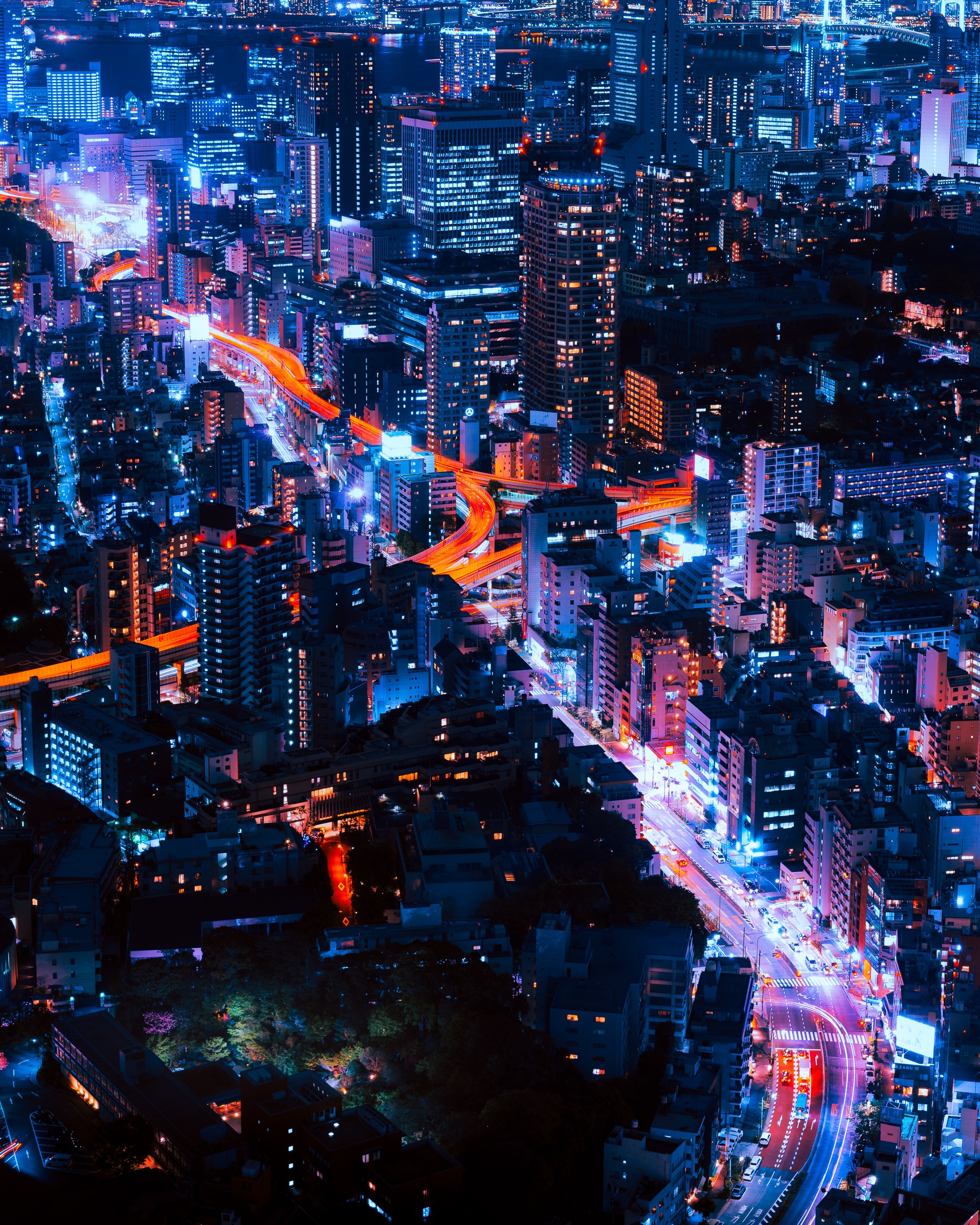 Обои ночь, огни, город, япония, небоскребы, токио, night, lights, the city, japan, skyscrapers, tokyo разрешение 2400x3000 Загрузить