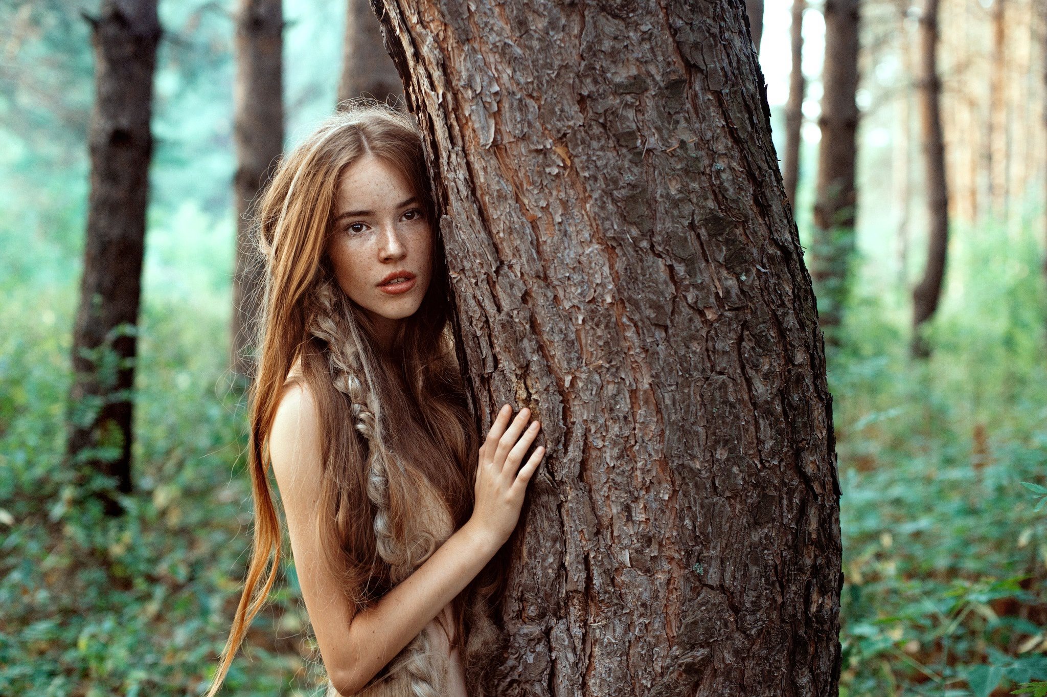Обои деревья, лицо, природа, ствол, дерево, коса, веснушки, лес, девушка, взгляд, рыжая, волосы, trees, face, nature, trunk, braid, tree, freckles, forest, girl, look, red, hair разрешение 2048x1363 Загрузить