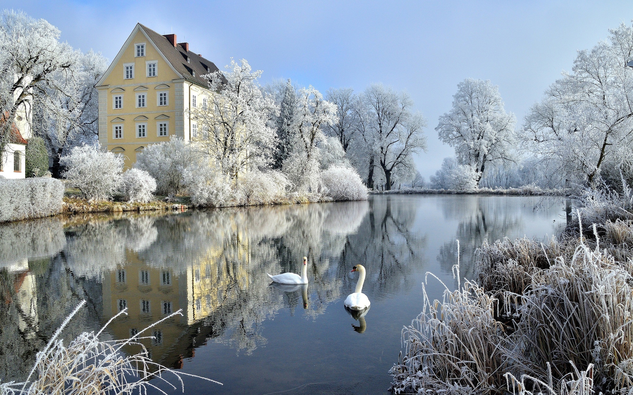 Обои деревья, германия, зима, лебеди, отражение, бавария, schloss erching, кусты, халльбергмос, hallbergmoos, замок, иней, птицы, пруд, trees, germany, winter, swans, bayern, reflection, the bushes, castle, frost, birds, pond разрешение 2048x1279 Загрузить