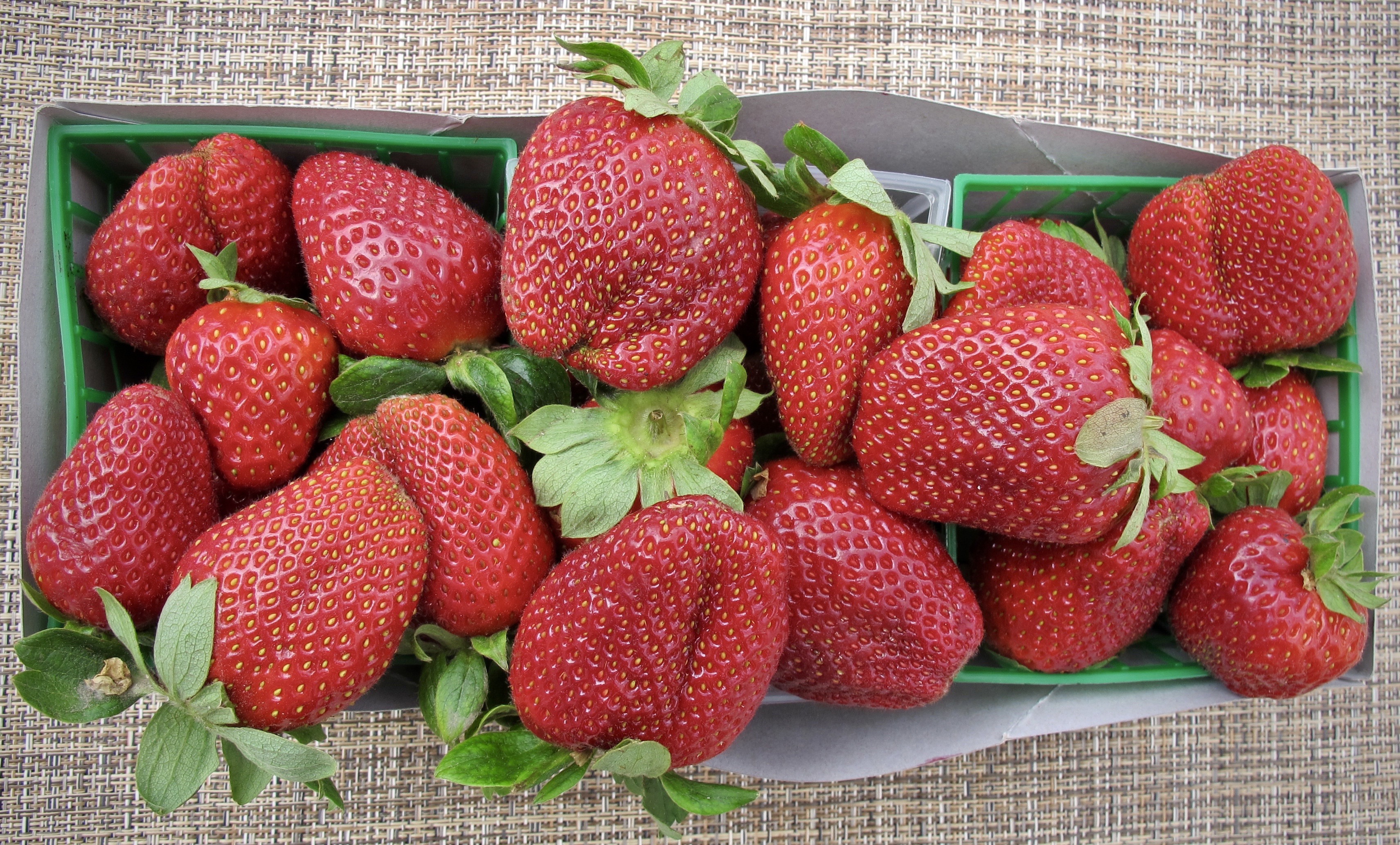 Обои ягода, клубника, спелая, сочная, вкусная, berry, strawberry, ripe, juicy, delicious разрешение 3422x2065 Загрузить