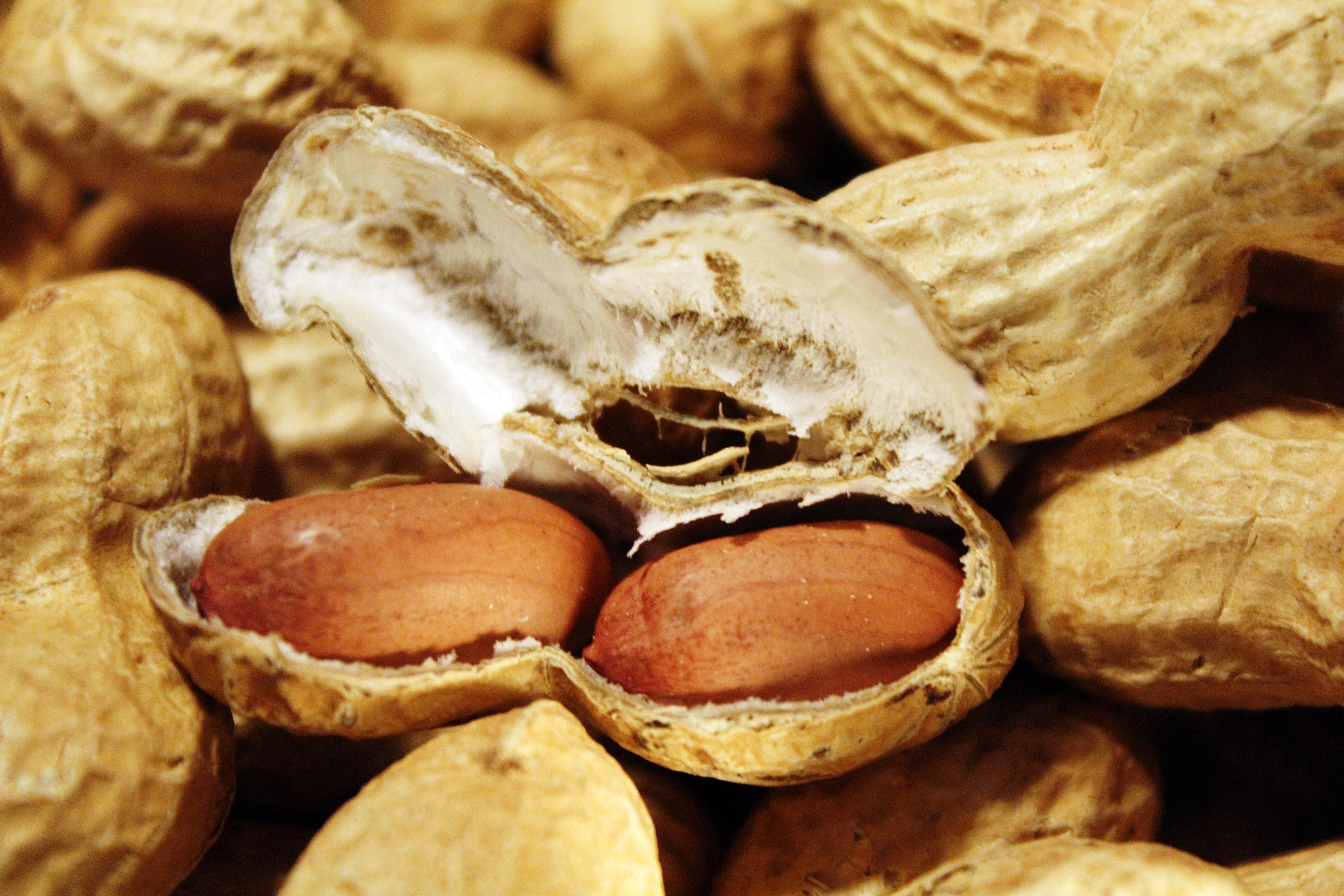 Обои орехи, скорлупа, арахис, земляной орех, nuts, shell, peanuts, groundnuts разрешение 4000x2667 Загрузить