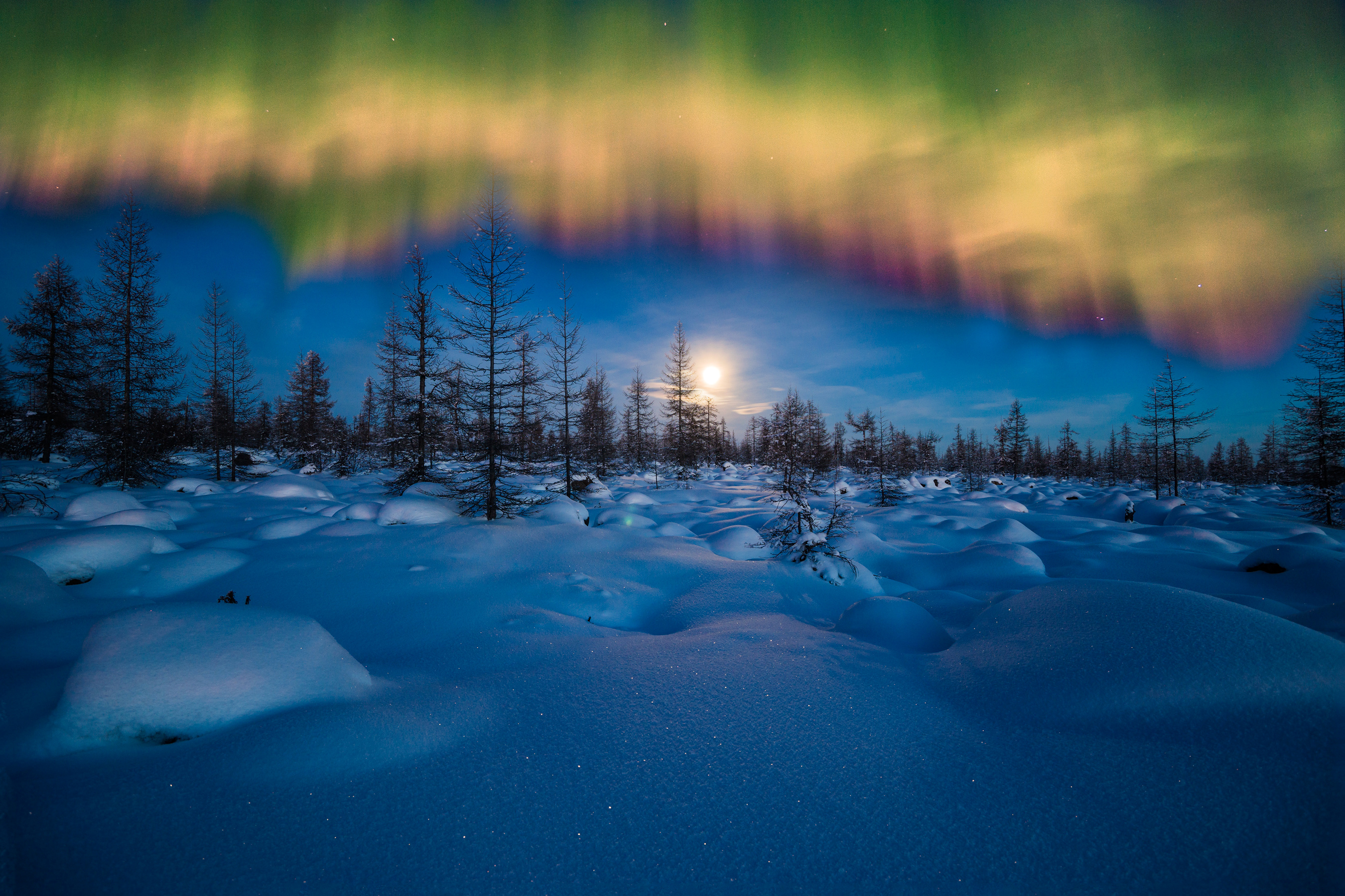 Обои небо, ночь, снег, лес, зима, пейзаж, северное сияние, the sky, night, snow, forest, winter, landscape, northern lights разрешение 2700x1800 Загрузить