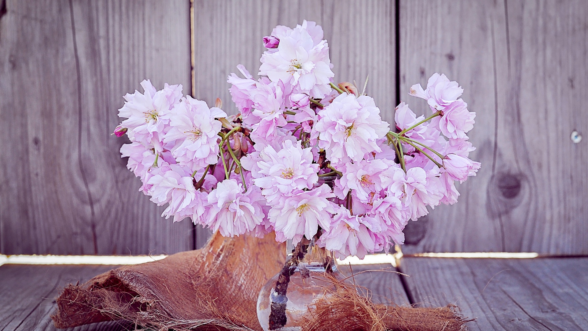 Обои цветы, букет, сакура, ваза, flowers, bouquet, sakura, vase разрешение 1920x1080 Загрузить