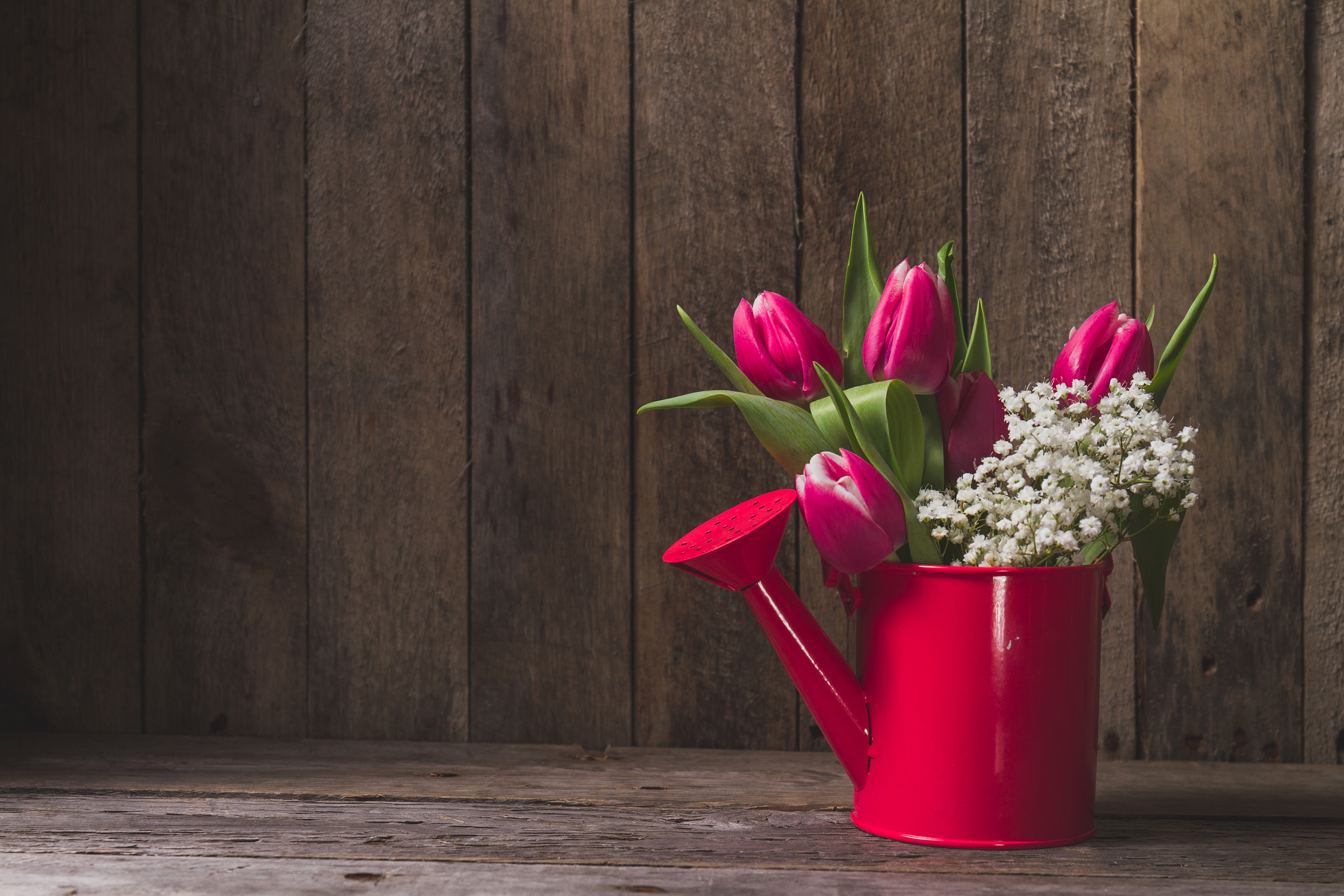 Обои цветы, тюльпаны, лейка, flowers, tulips, lake разрешение 5057x3371 Загрузить