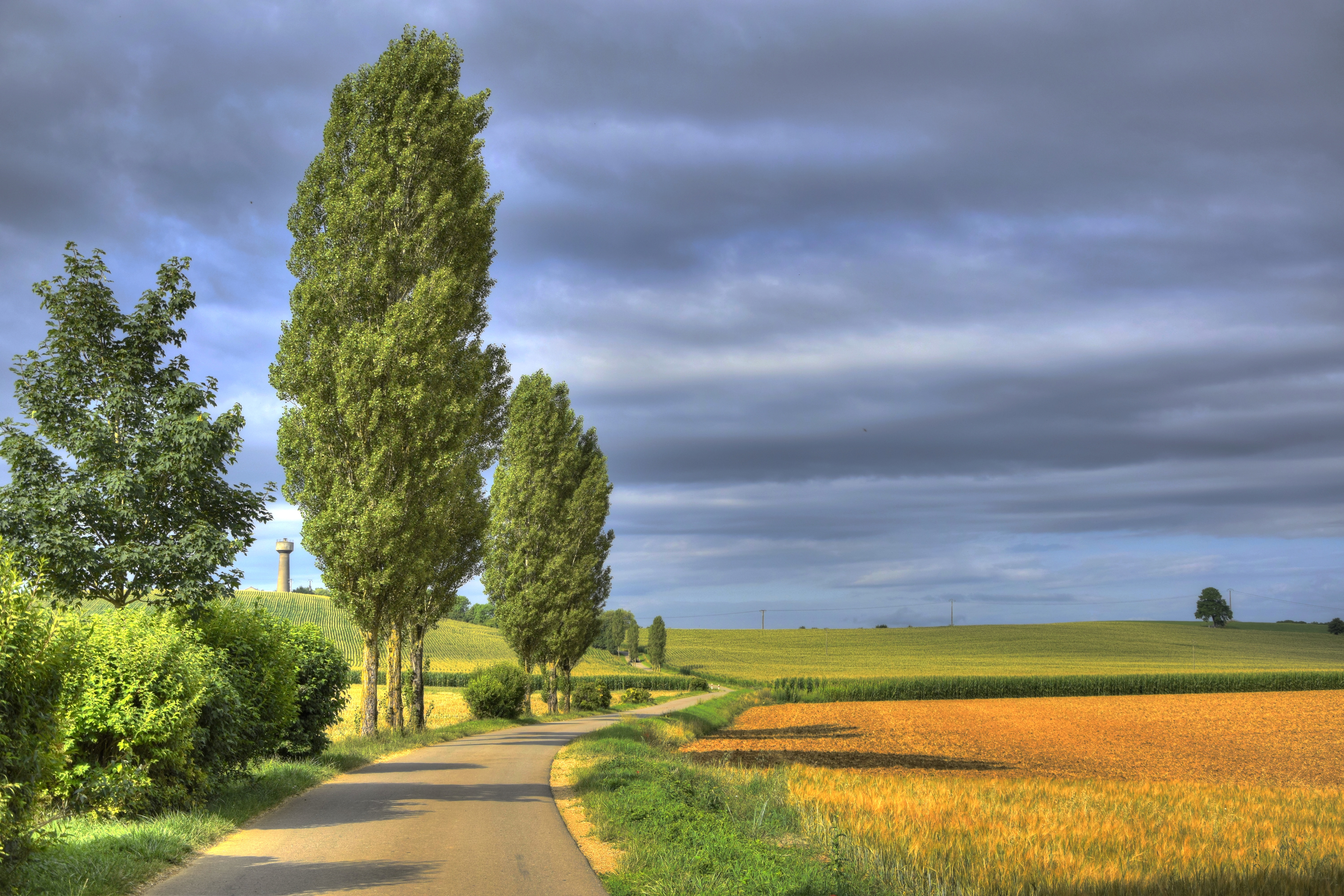 Обои небо, дорога, облака, деревья, поле, франция, лотарингия, trieux, the sky, road, clouds, trees, field, france, lorraine разрешение 5999x3999 Загрузить