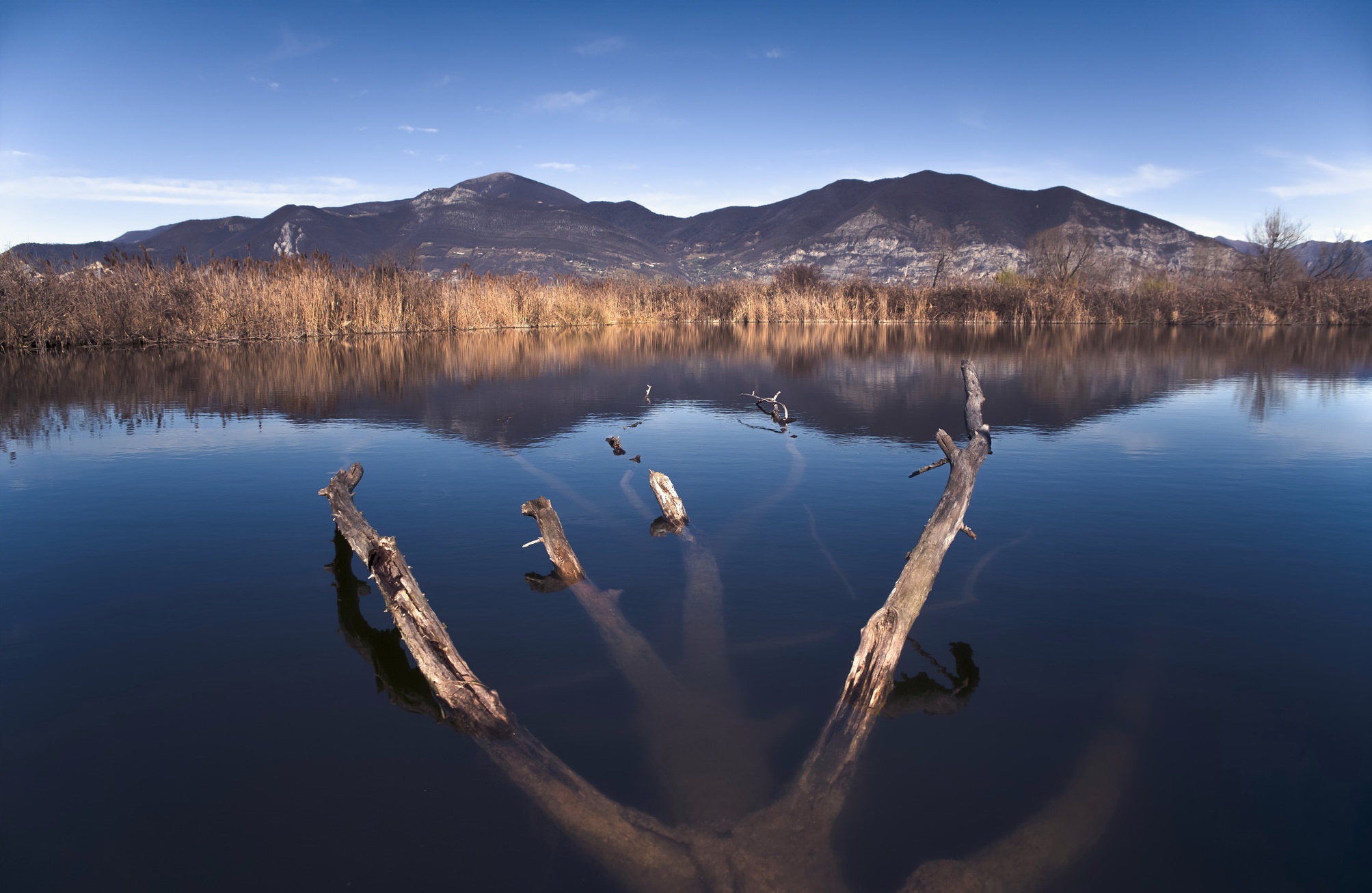 Обои небо, озеро, горы, природа, дерево, пейзаж, горизонт, горный хребет, the sky, lake, mountains, nature, tree, landscape, horizon, mountain range разрешение 2007x1307 Загрузить