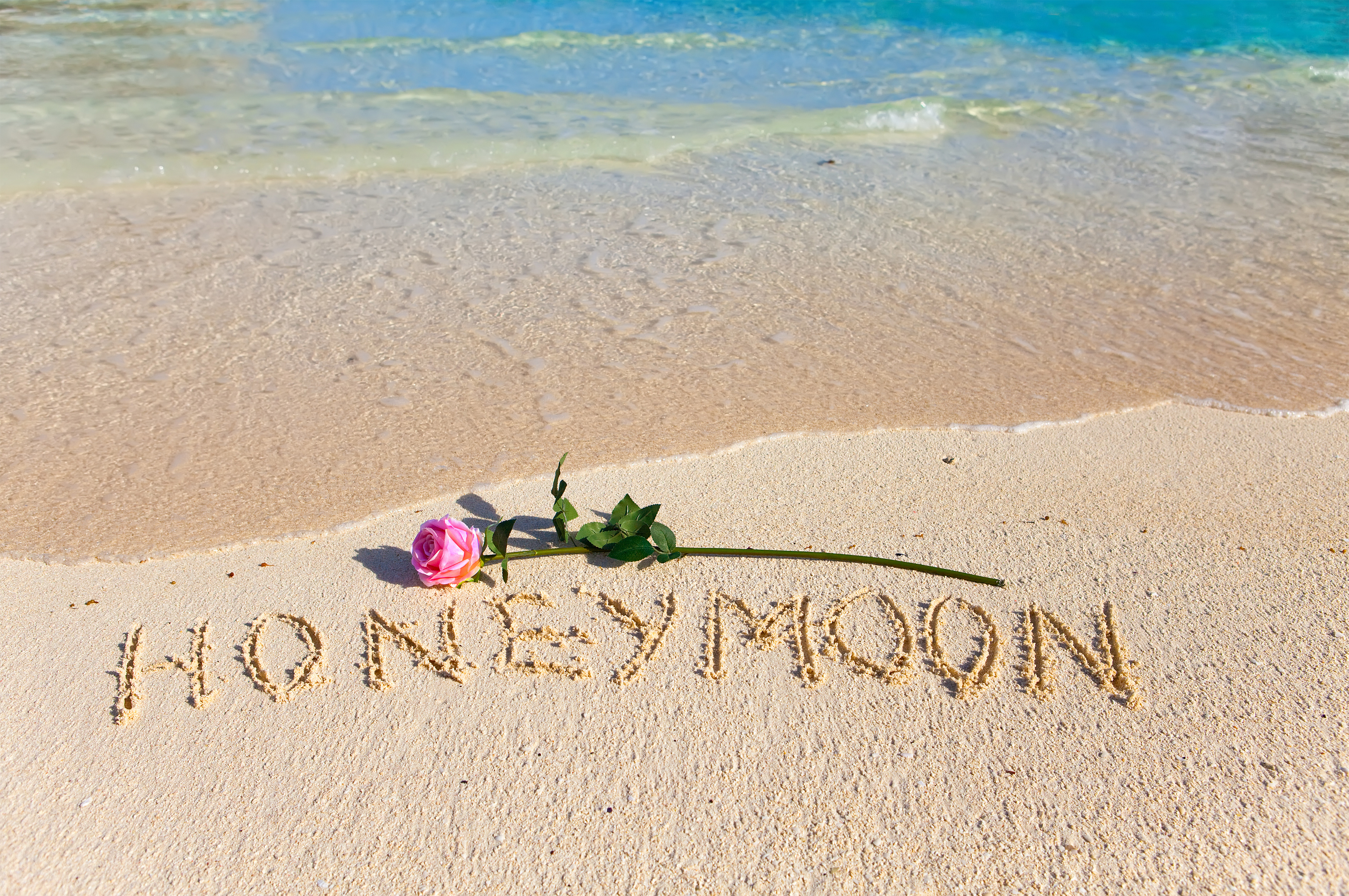 Обои море, honeymoon, цветок, песок, пляж, роза, романтик, тропическая, влюбленная, sea, flower, sand, beach, rose, romantic, tropical, love разрешение 3500x2326 Загрузить