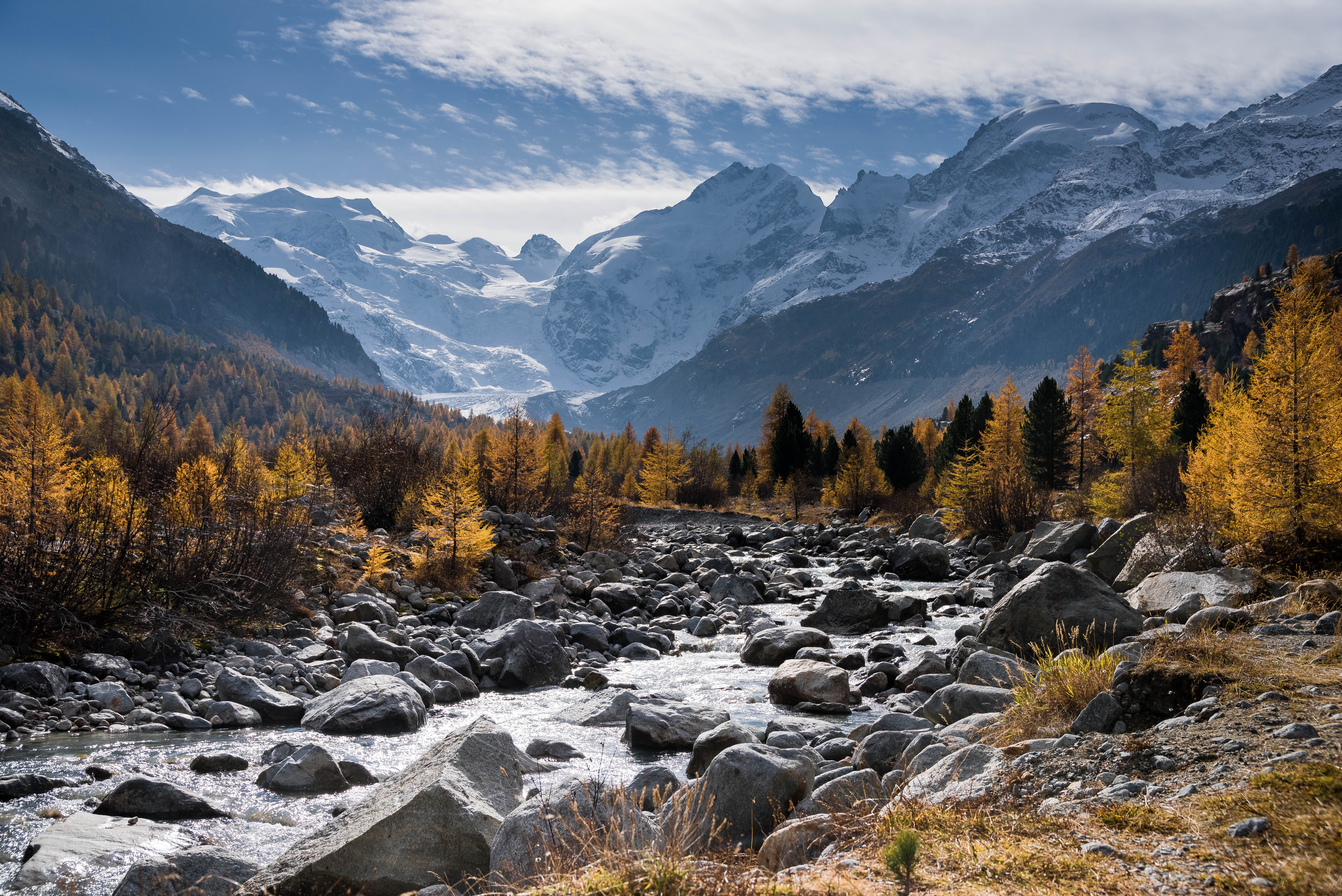 Обои деревья, горы, снег, природа, лес, пейзаж, осень, trees, mountains, snow, nature, forest, landscape, autumn разрешение 7360x4912 Загрузить