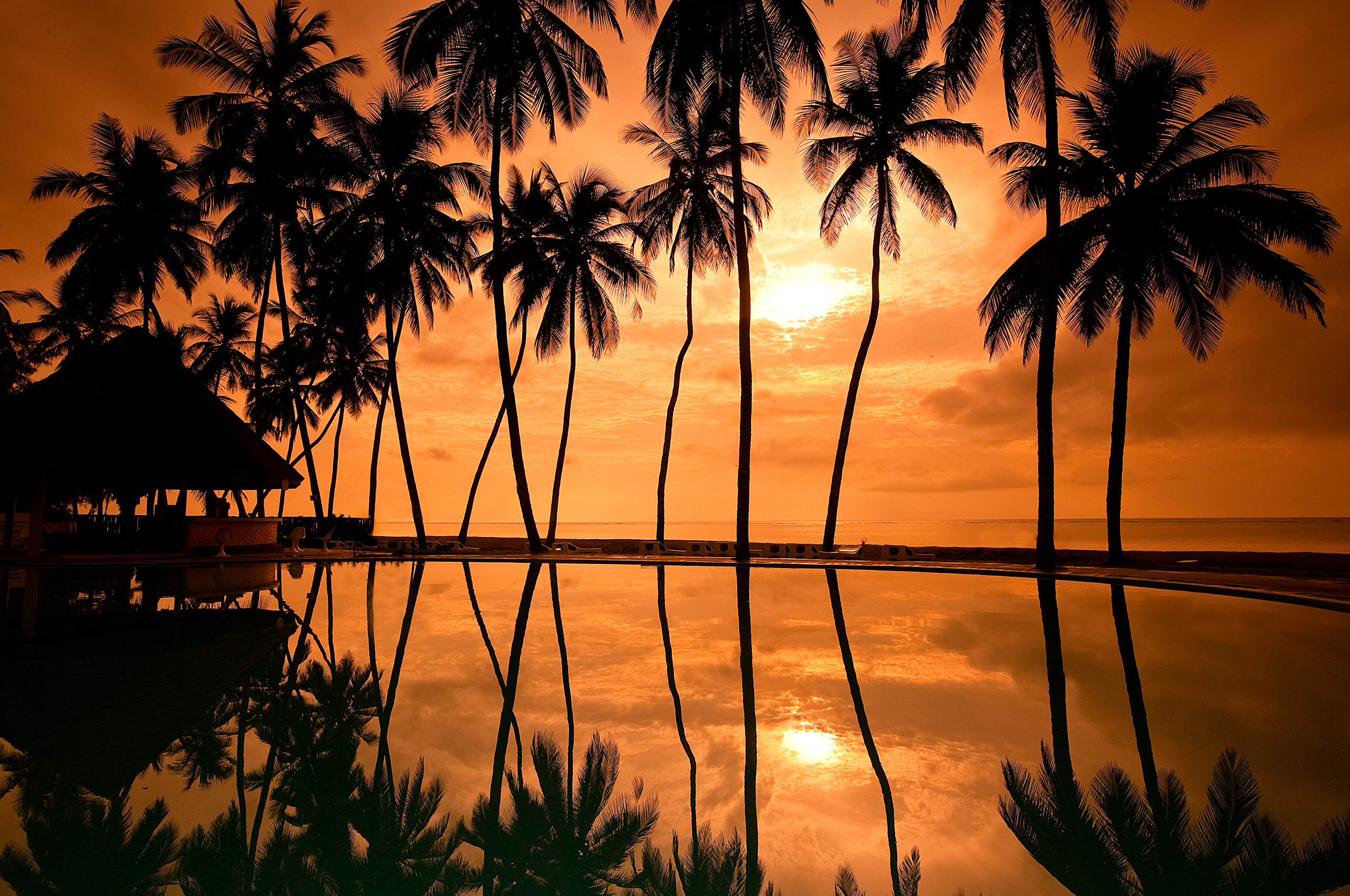 Обои закат, отражение, побережье, пальмы, курорт, гавайи, палмы, sunset, re...
