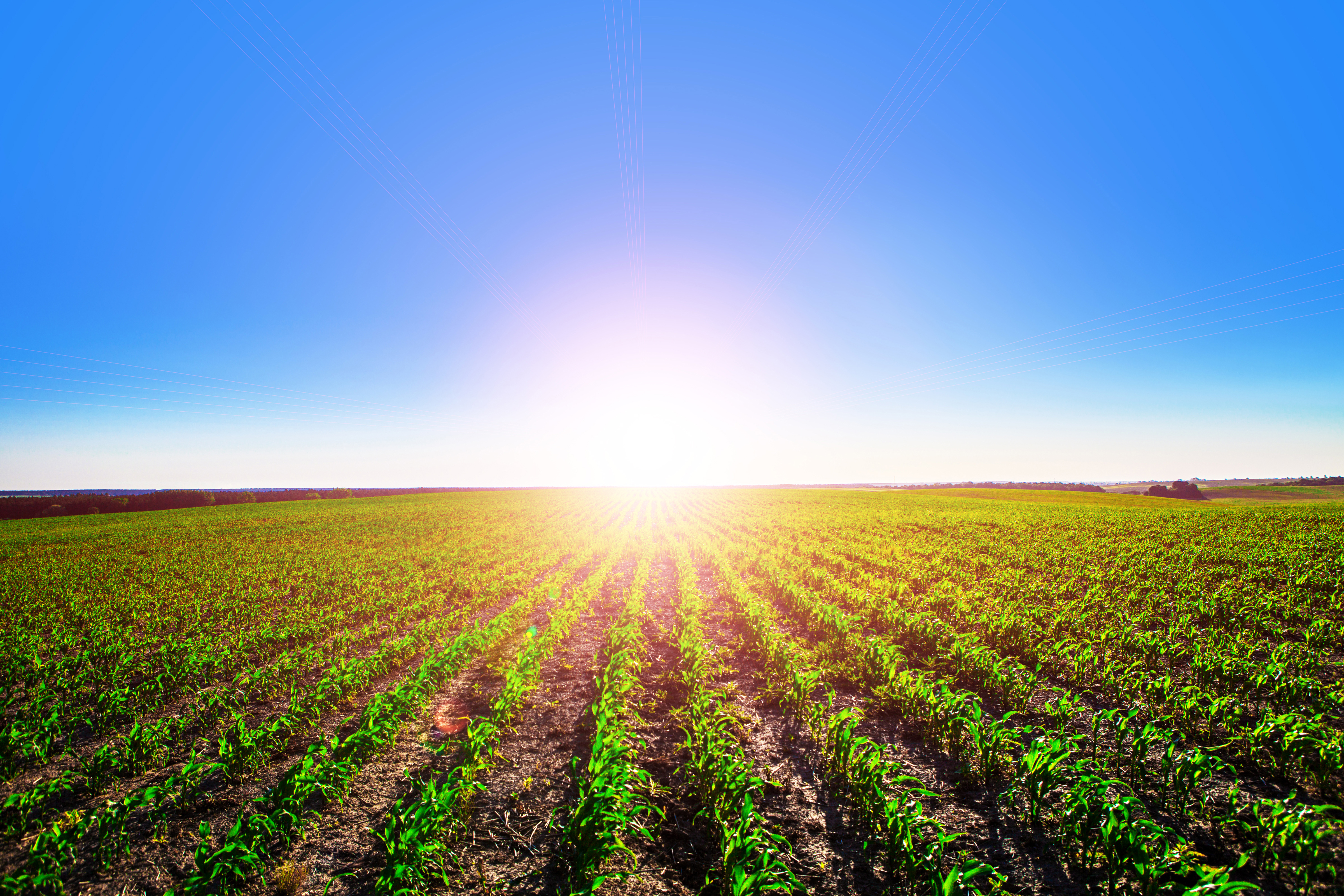 Обои небо, природа, пейзаж, поле, горизонт, солнечный день, the sky, nature, landscape, field, horizon, sunny day разрешение 4800x3200 Загрузить