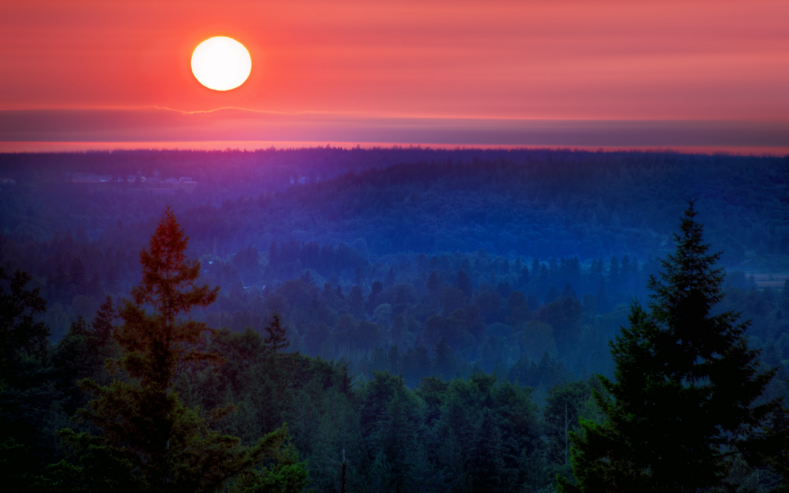 Обои ночь, природа, лес, закат, пейзаж, гора, луна, night, nature, forest, sunset, landscape, mountain, the moon разрешение 2560x1600 Загрузить