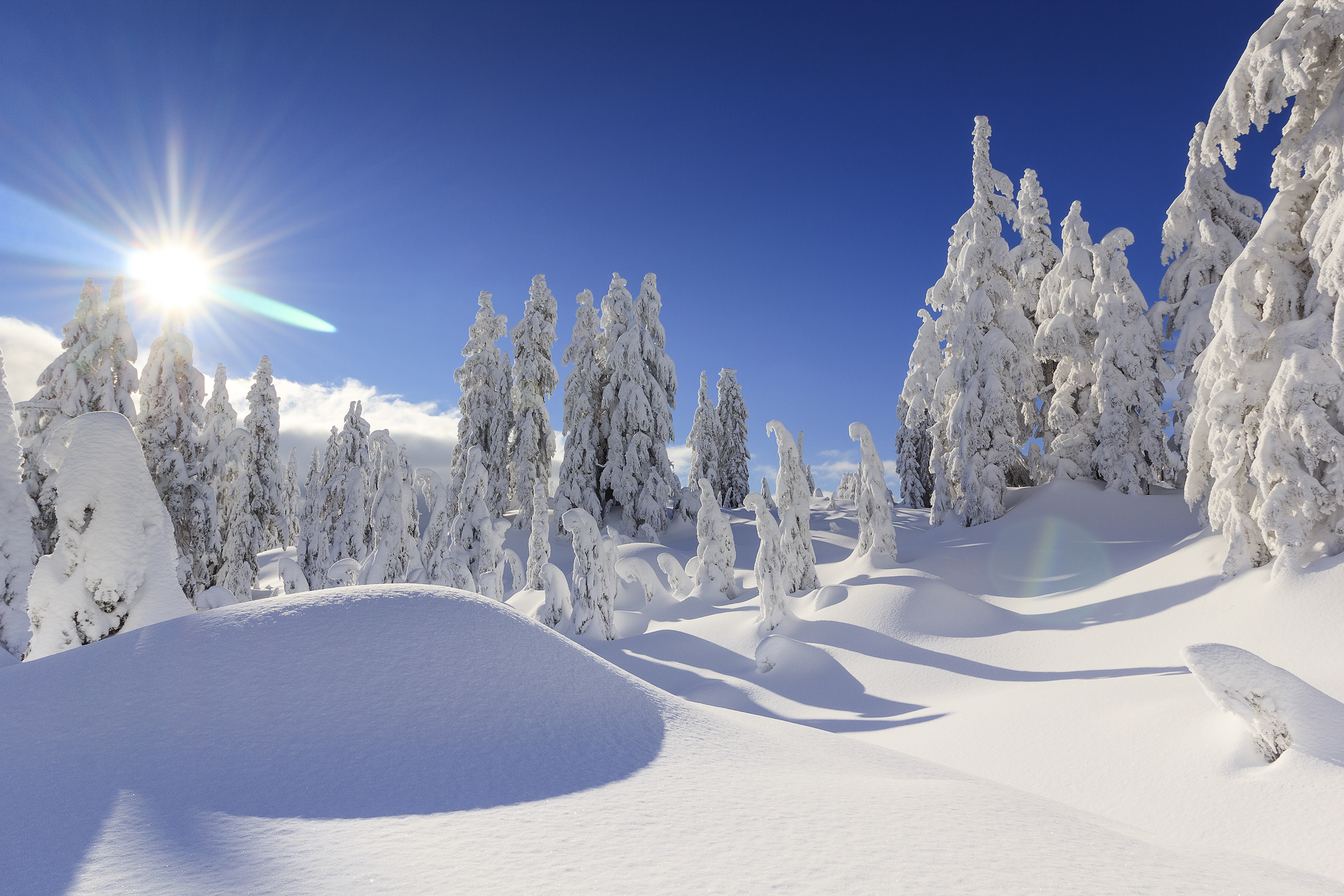 The winter. Зимний лес. Зима снег. Зима сугробы. Снежный пейзаж.