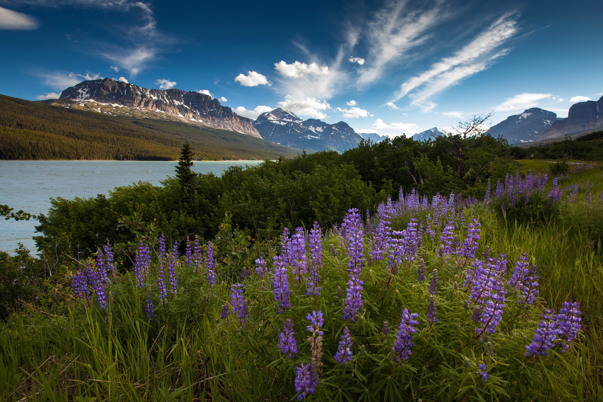 Обои небо, цветы, облака, река, горы, утро, лето, the sky, flowers, clouds, river, mountains, morning, summer разрешение 2048x1365 Загрузить