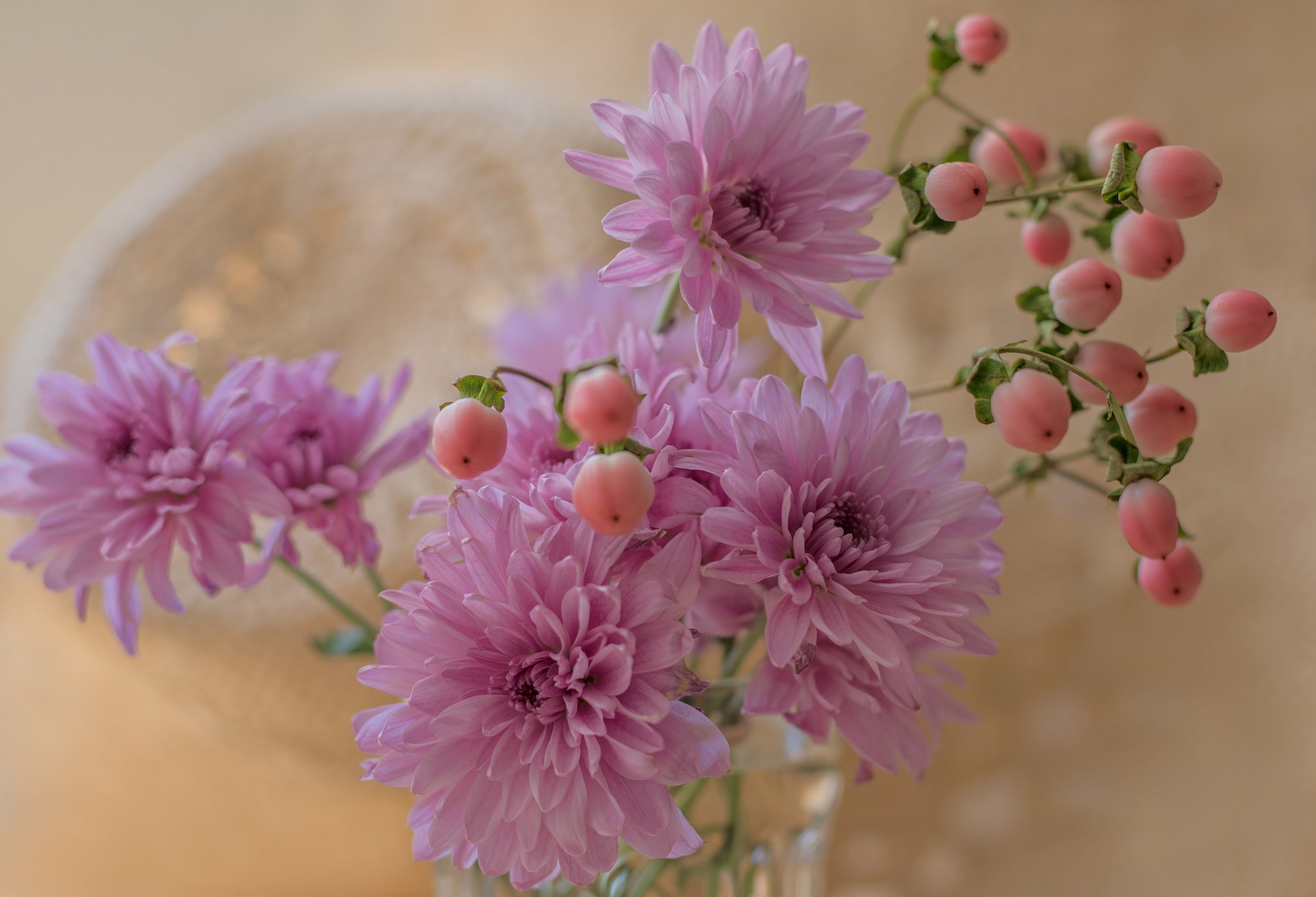 Обои цветы, лепестки, букет, хризантемы, хризантема, flowers, petals, bouquet, chrysanthemum разрешение 2048x1396 Загрузить