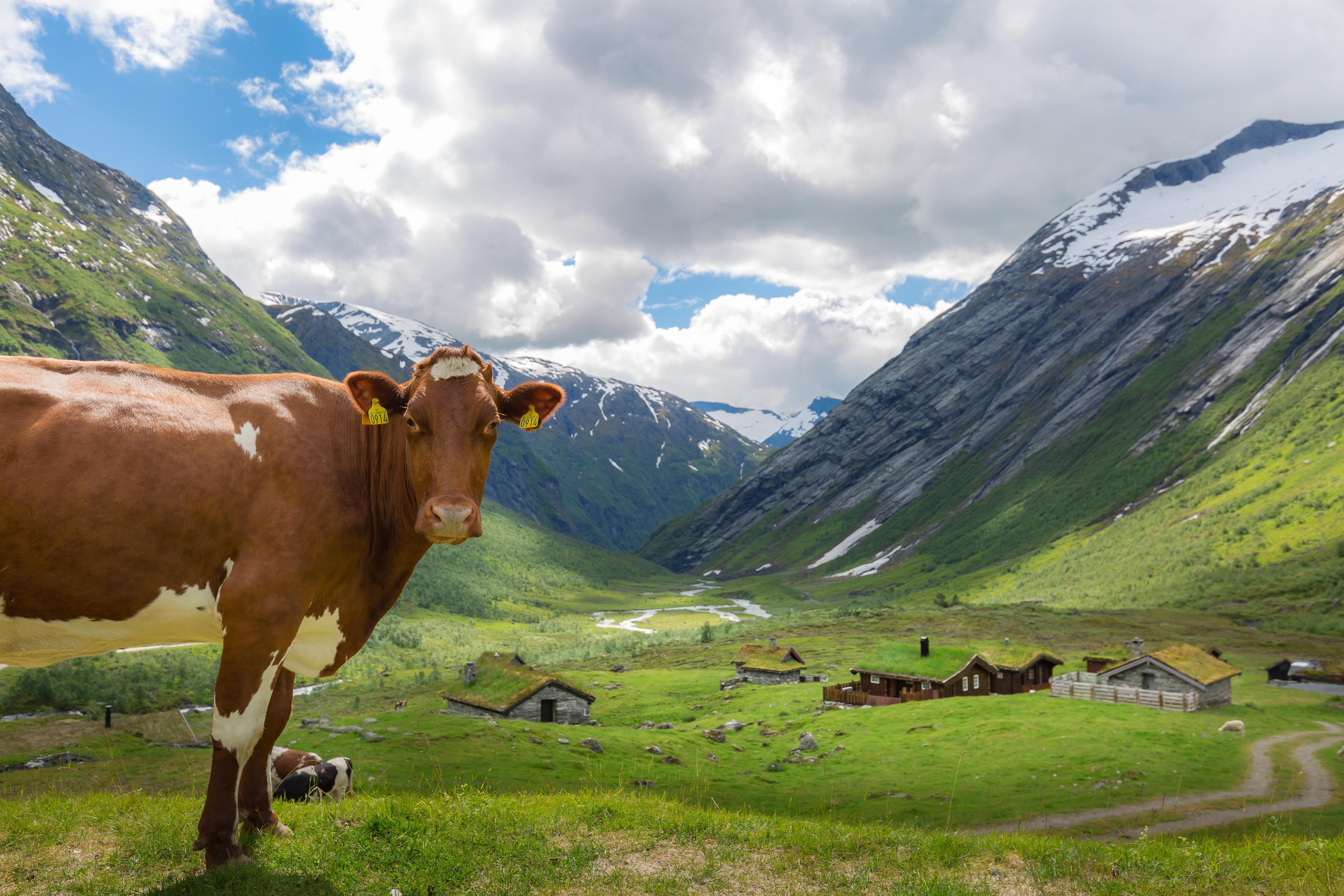 Обои небо, облака, горы, дома, корова, коровы, the sky, clouds, mountains, home, cow, cows разрешение 5760x3840 Загрузить