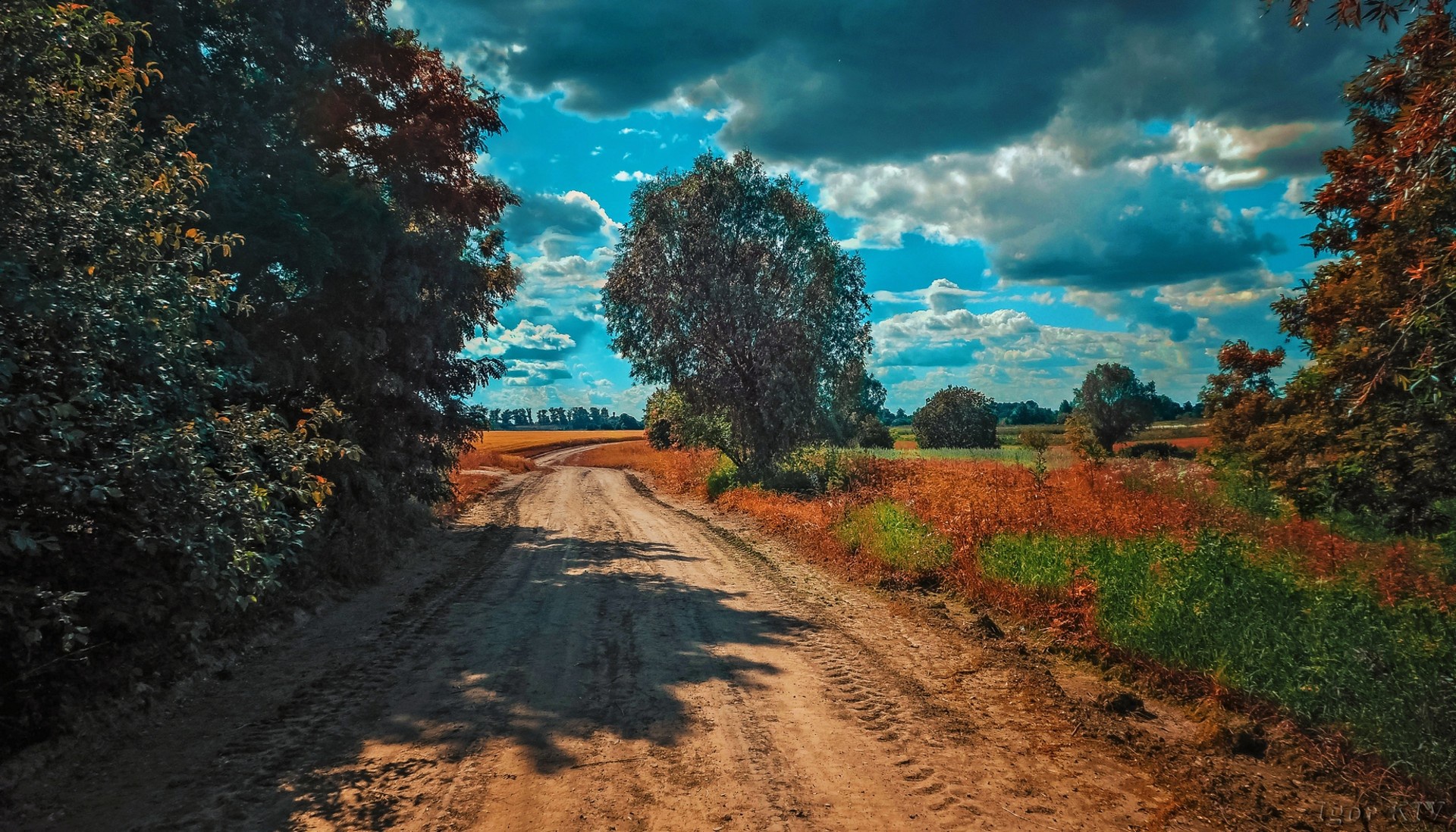 Обои небо, дорога, облака, деревья, природа, пейзаж, the sky, road, clouds, trees, nature, landscape разрешение 1920x1098 Загрузить