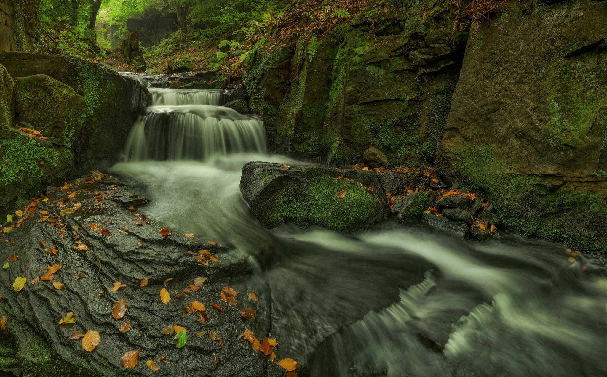 Обои скалы, камни, листья, ручей, водопад, осень, мох, каскад, rocks, stones, leaves, stream, waterfall, autumn, moss, cascade разрешение 2048x1273 Загрузить