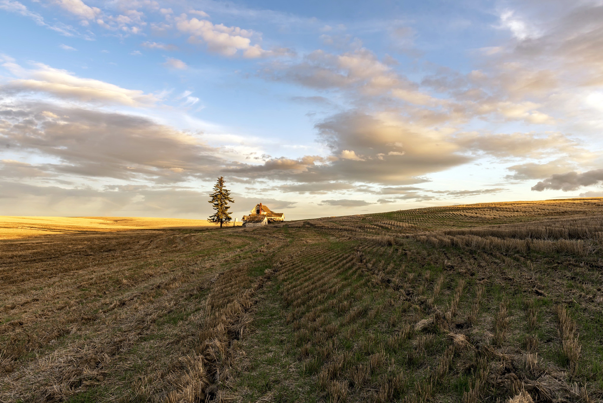 Обои небо, дом, свет, облака, природа, дерево, утро, поле, горизонт, the sky, house, light, clouds, nature, tree, morning, field, horizon разрешение 2048x1367 Загрузить