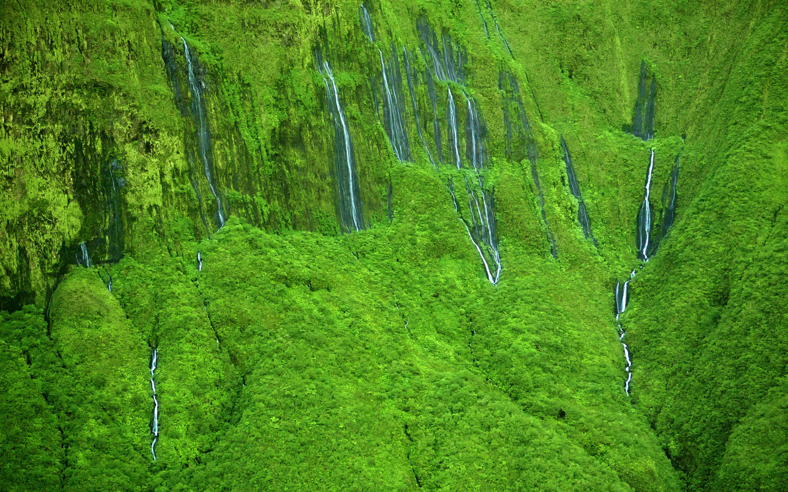 Обои природа, склон, водопады, гаваи, мауи, wall of tears' waterfalls, nature, slope, waterfalls, hawaii, maui разрешение 2560x1600 Загрузить