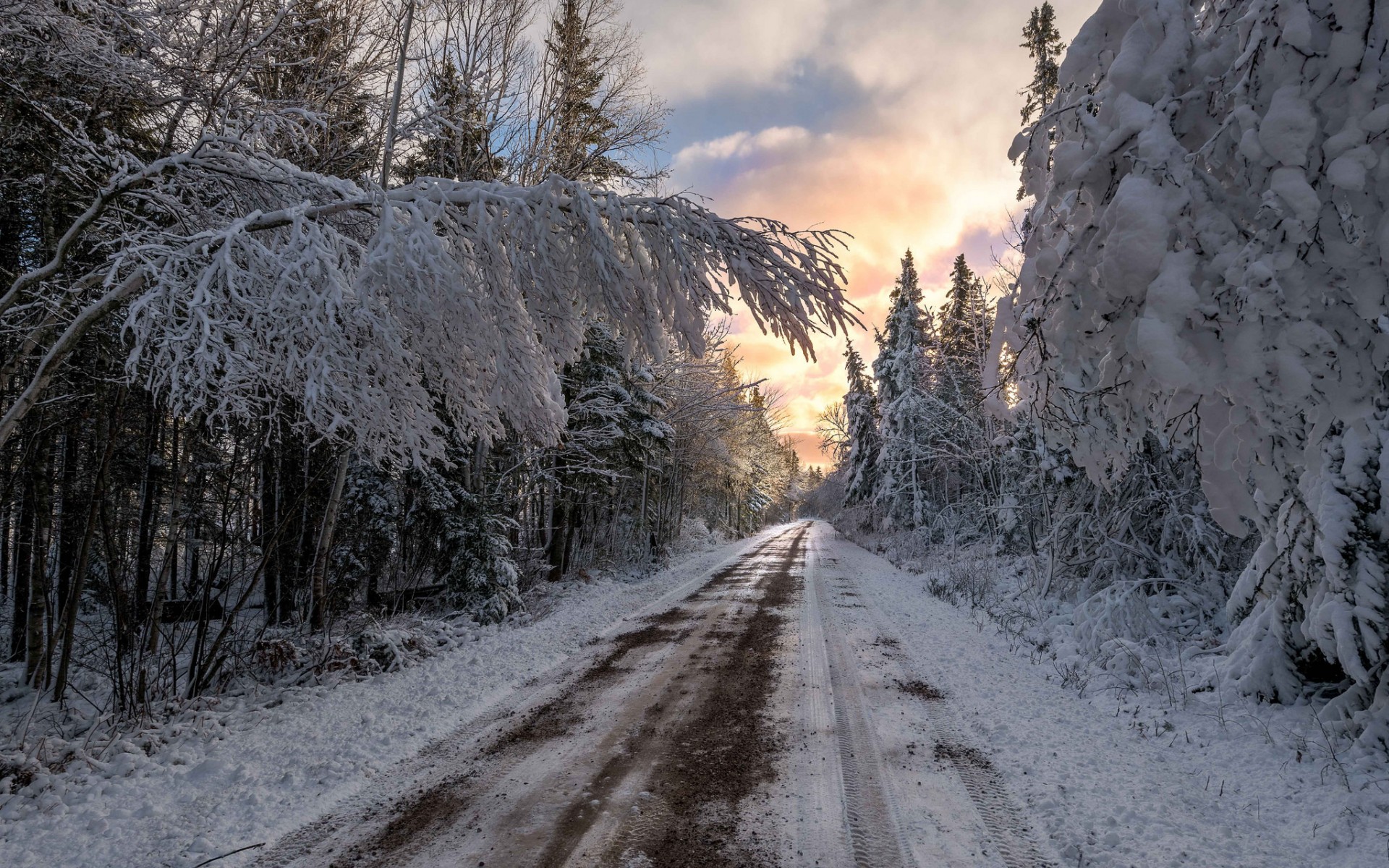 Обои дорога, облака, деревья, снег, природа, лес, зима, ветки, road, clouds, trees, snow, nature, forest, winter, branches разрешение 1920x1200 Загрузить