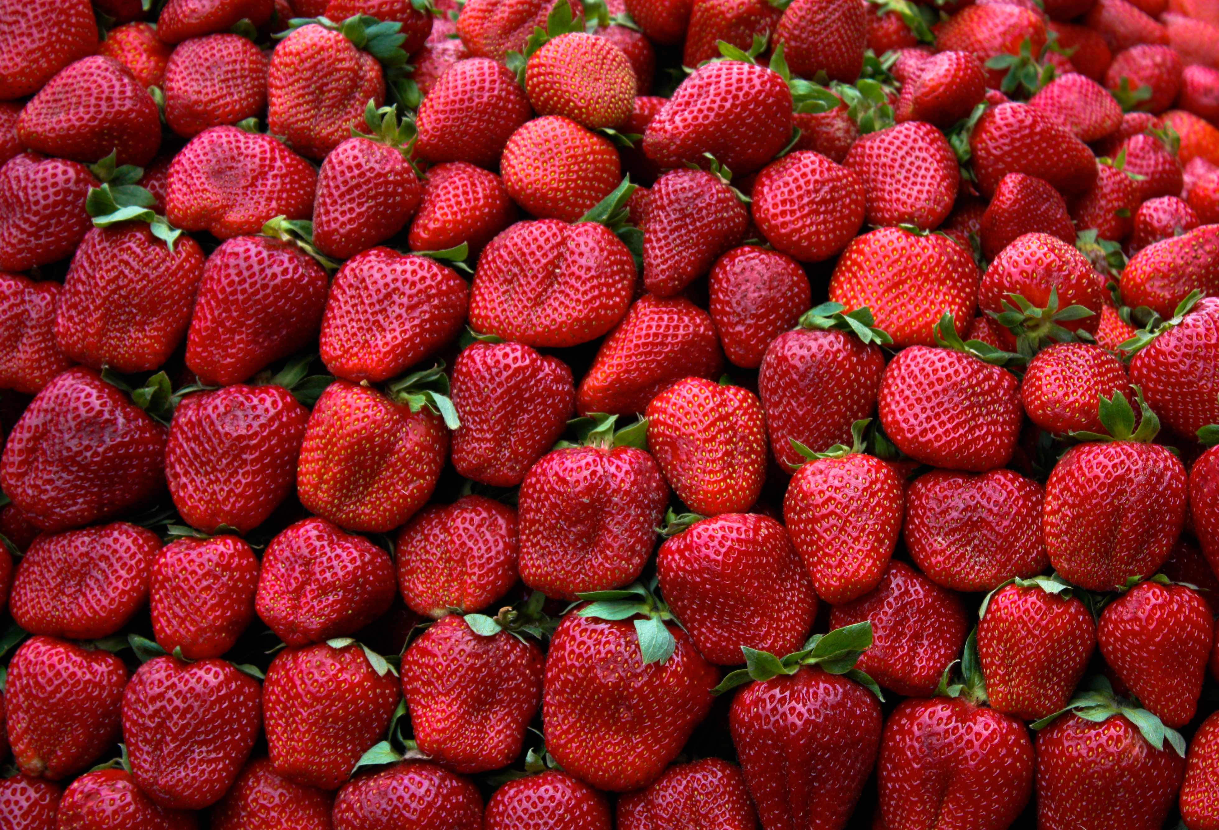 Strawberry141