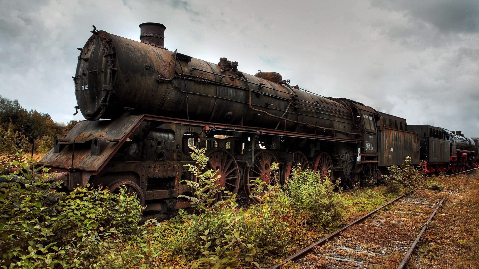 Обои железная дорога, зелень, кусты, старый, паровоз, railroad, greens, the bushes, old, the engine разрешение 1920x1080 Загрузить