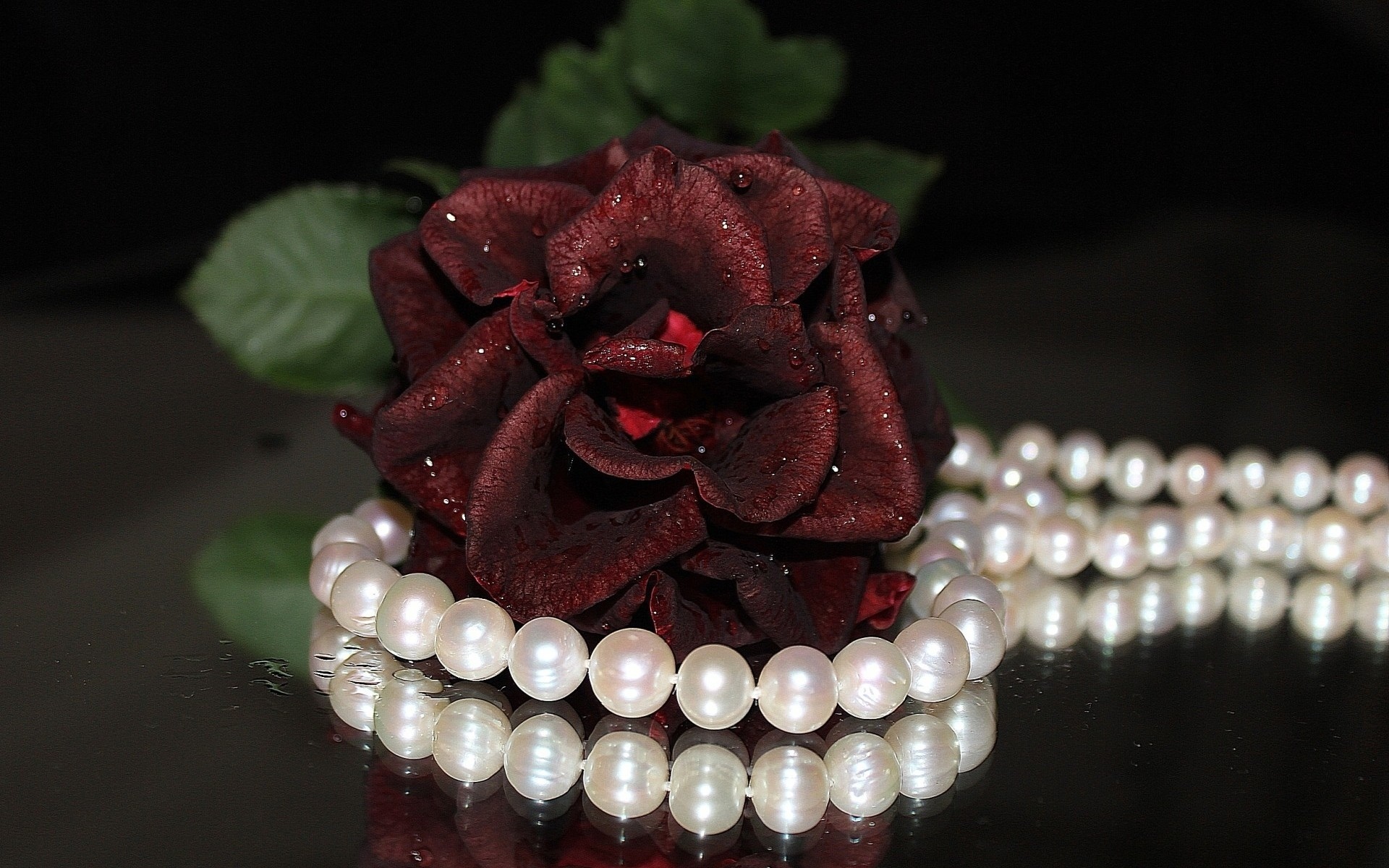 Обои цветок, роза, украшение, ожерелье, жемчуг, flower, rose, decoration, necklace, pearl разрешение 1920x1200 Загрузить