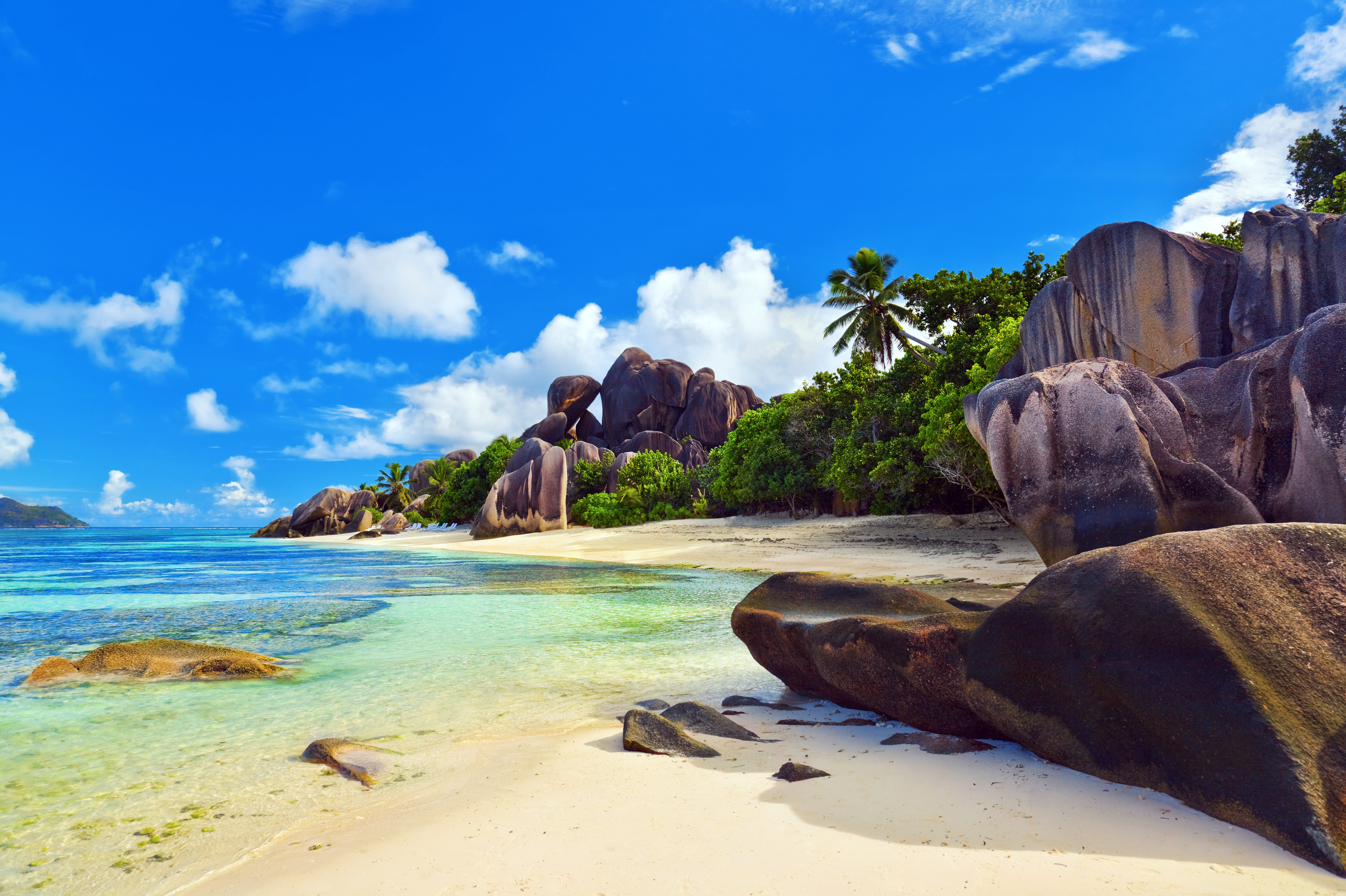 Обои море, пляж, тропики, сейшелы, sea, beach, tropics, seychelles разрешение 4246x2827 Загрузить