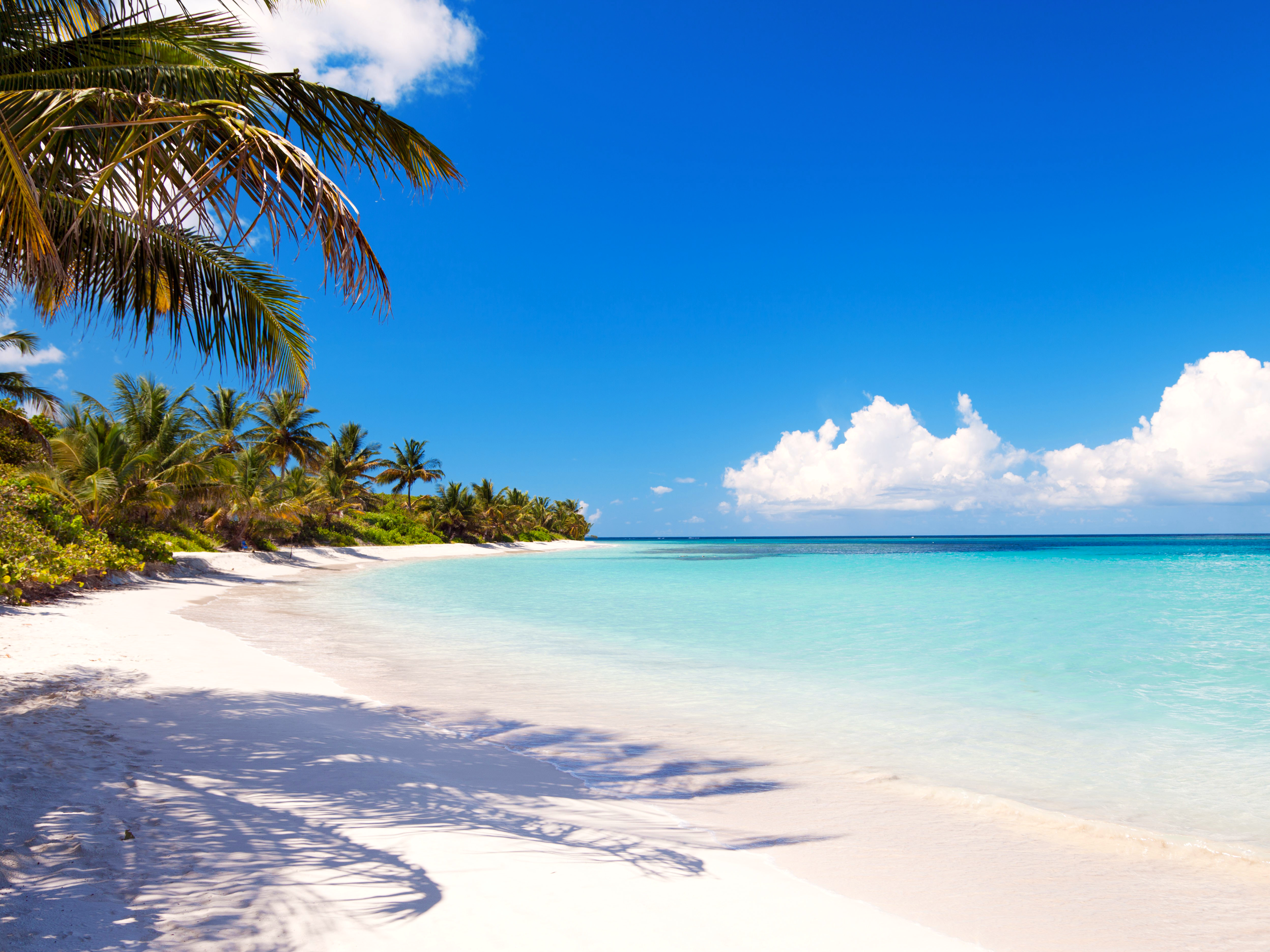 Покажи красивый пляж. Парадиз остров Карибского моря. Уайт Сэндс пляж Доминикана. Фламенко-Бич, Кулебра, Пуэрто-Рико. Карибское море Доминикана.