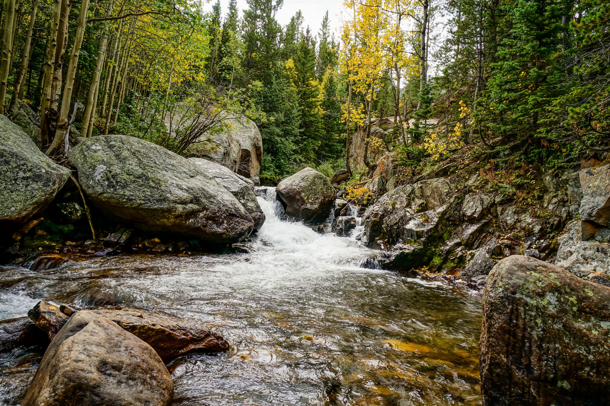 Обои деревья, река, камни, лес, осень, поток, trees, river, stones, forest, autumn, stream разрешение 2048x1365 Загрузить