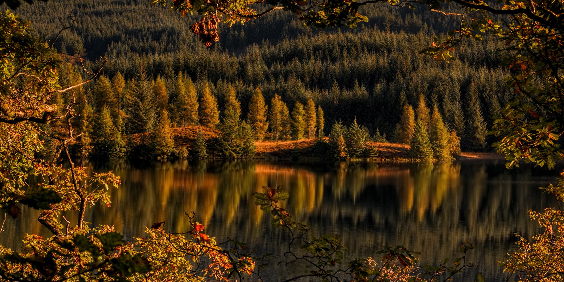 Обои деревья, achray forest, loch drunkie, озеро, лес, отражение, осень, шотландия, озеро дранки, троссачс, trees, lake, forest, reflection, autumn, scotland, lake shingles, trossachs разрешение 2160x1080 Загрузить