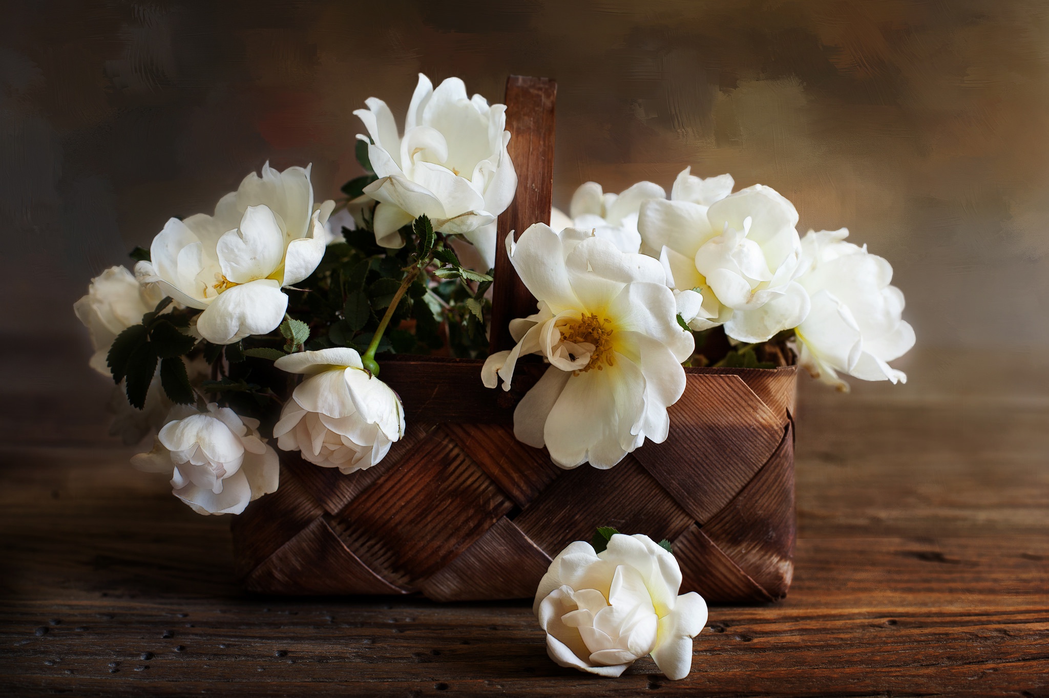 Обои цветы, розы, лепестки, корзинка, композиция, белые розы, flowers, roses, petals, basket, composition, white roses разрешение 2048x1363 Загрузить