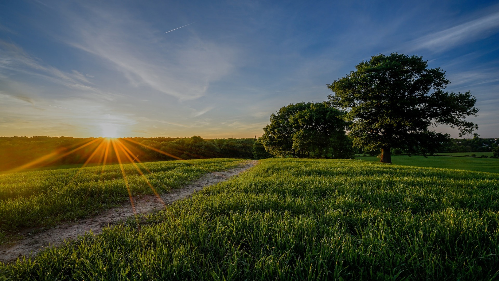 Обои природа, лес, пейзаж, утро, поле, рассвет, nature, forest, landscape, morning, field, dawn разрешение 1920x1080 Загрузить