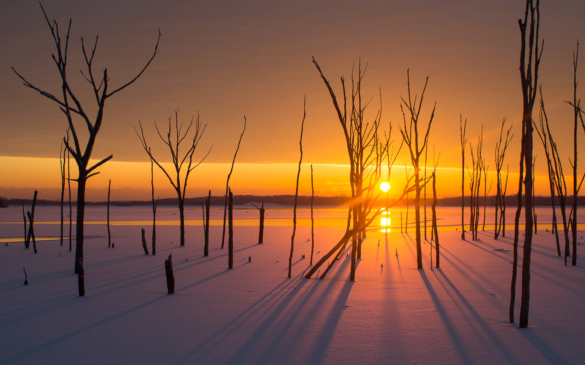 Обои деревья, солнце, снег, закат, зима, пейзаж, trees, the sun, snow, sunset, winter, landscape разрешение 1920x1200 Загрузить