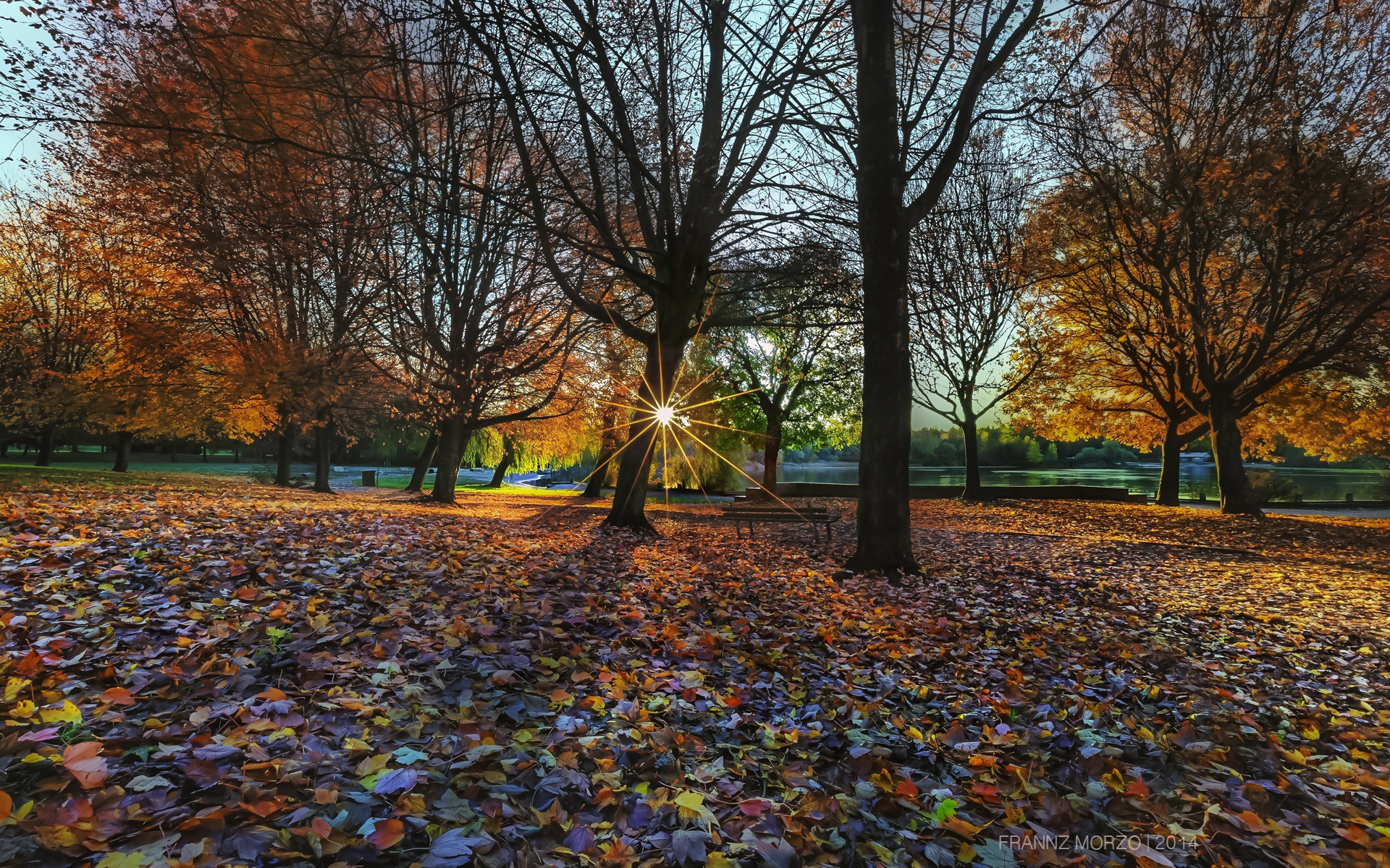 Обои деревья, природа, листья, парк, осень, trees, nature, leaves, park, autumn разрешение 1920x1200 Загрузить