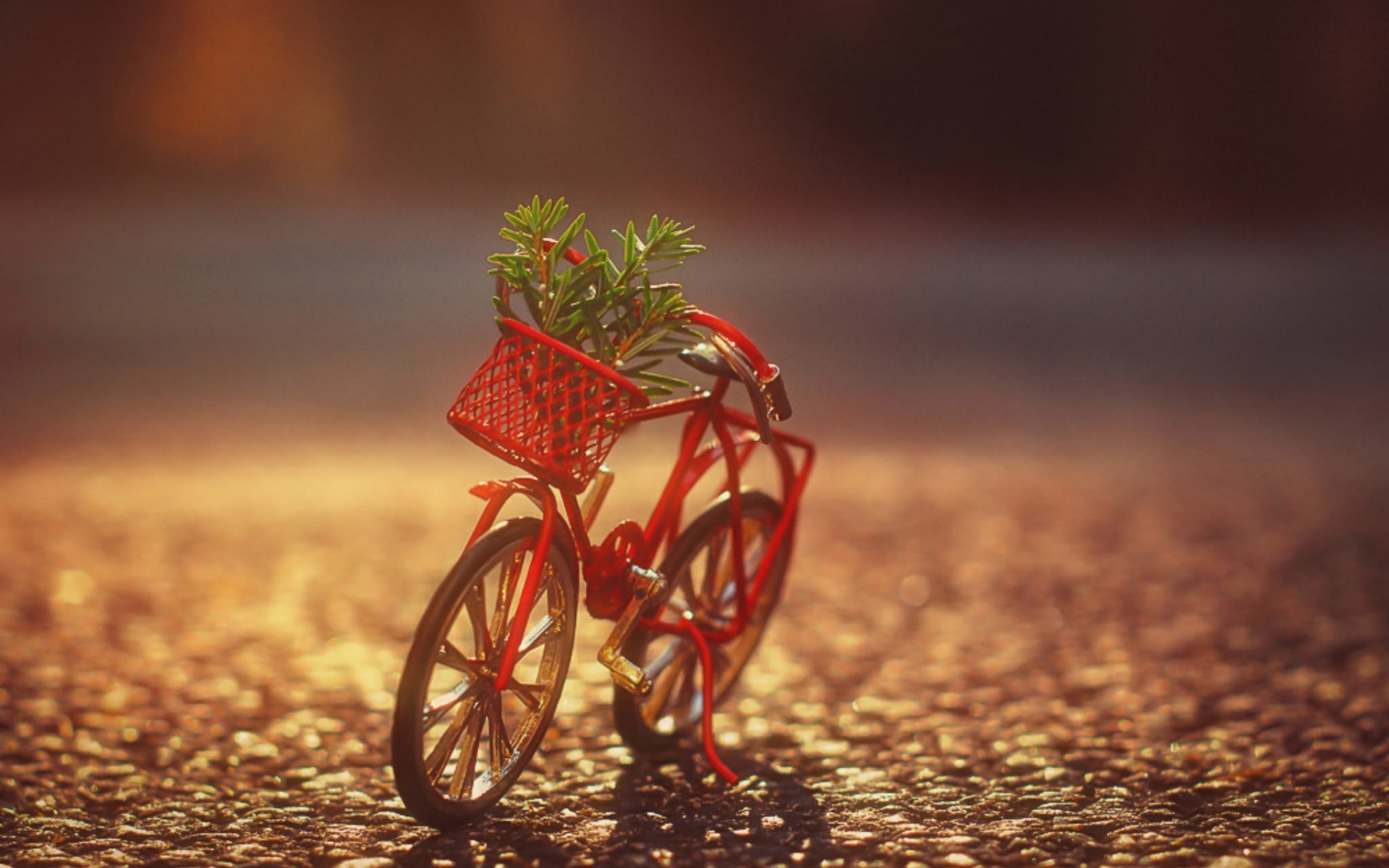 Обои корзина, растение, велосипед, фигурка, basket, plant, bike, figure разрешение 1920x1200 Загрузить