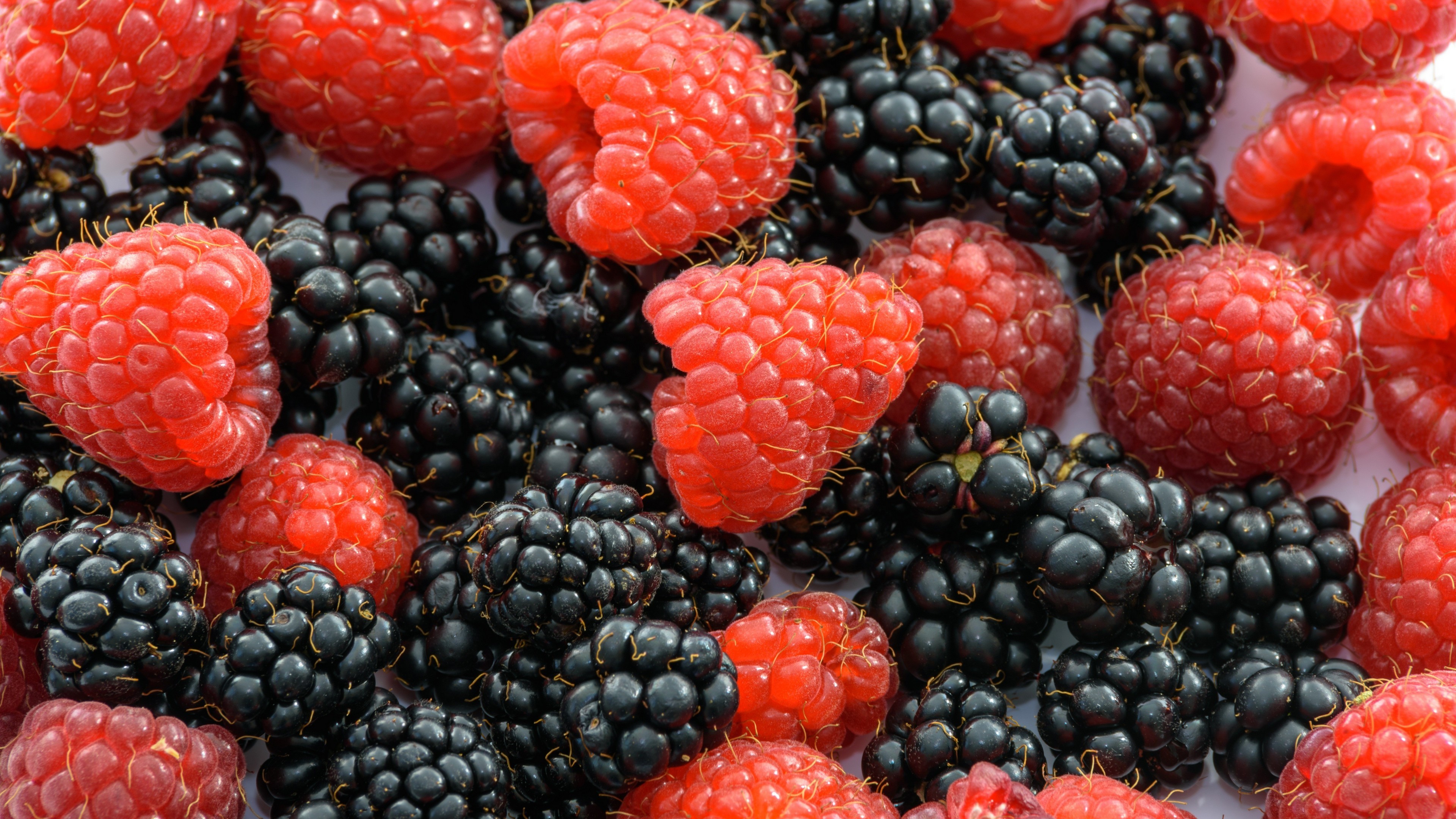 Обои макро, малина, ягоды, ежевика, macro, raspberry, berries, blackberry разрешение 3840x2160 Загрузить