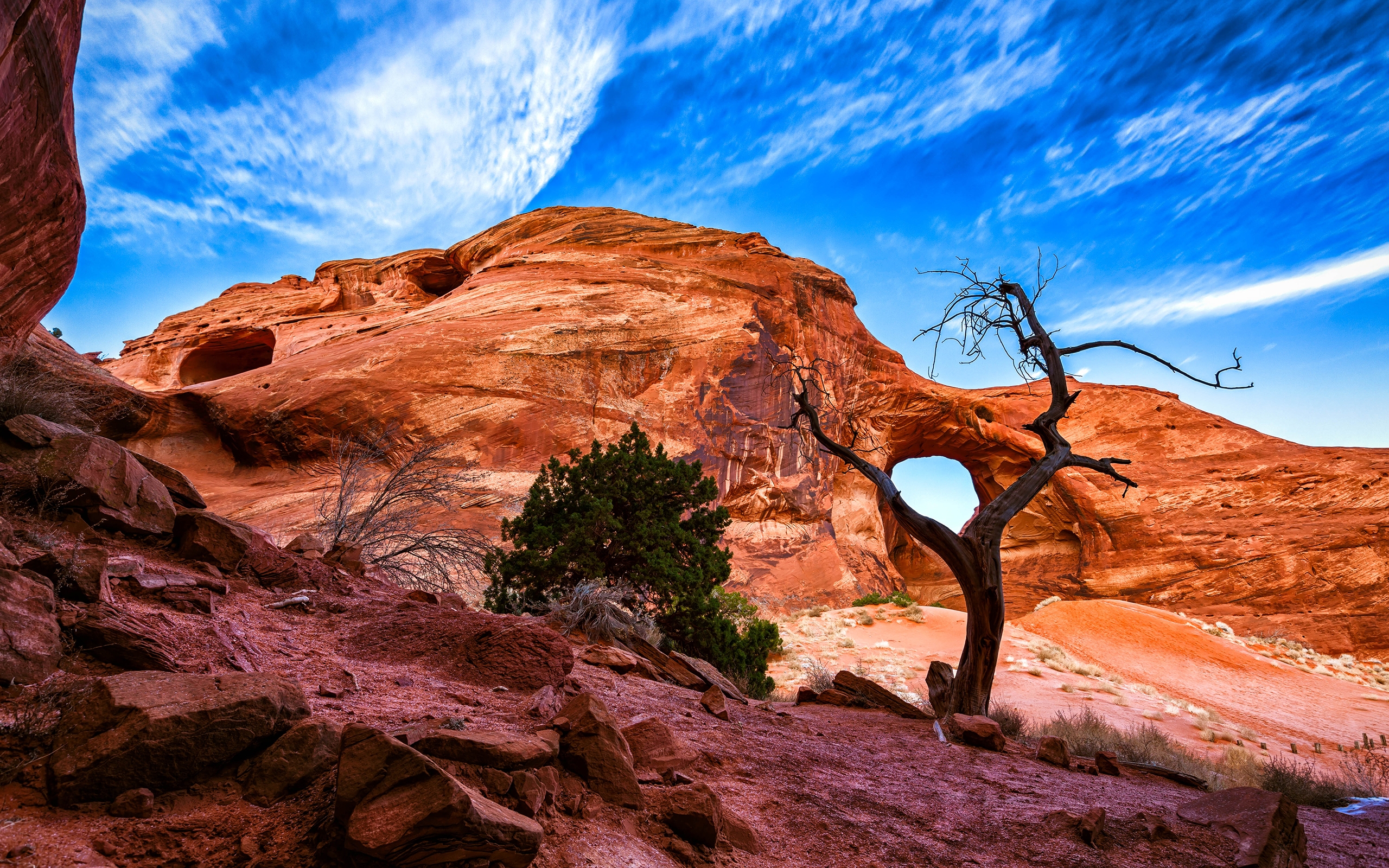 Обои небо, скалы, дерево, пустыня, каньон, the sky, rocks, tree, desert, canyon разрешение 2560x1600 Загрузить