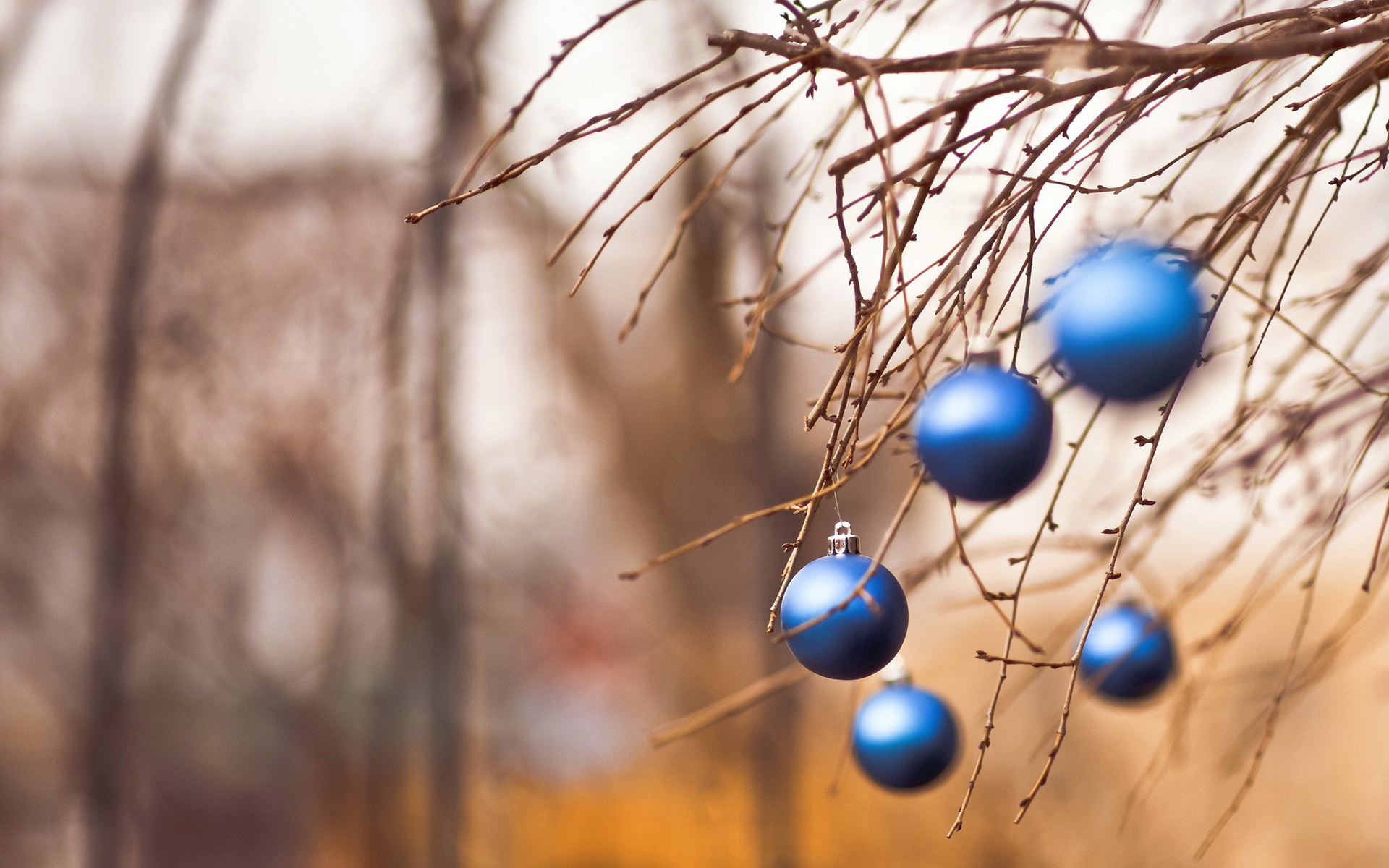 Обои новый год, шары, ветки, рождество, new year, balls, branches, christmas разрешение 1920x1200 Загрузить