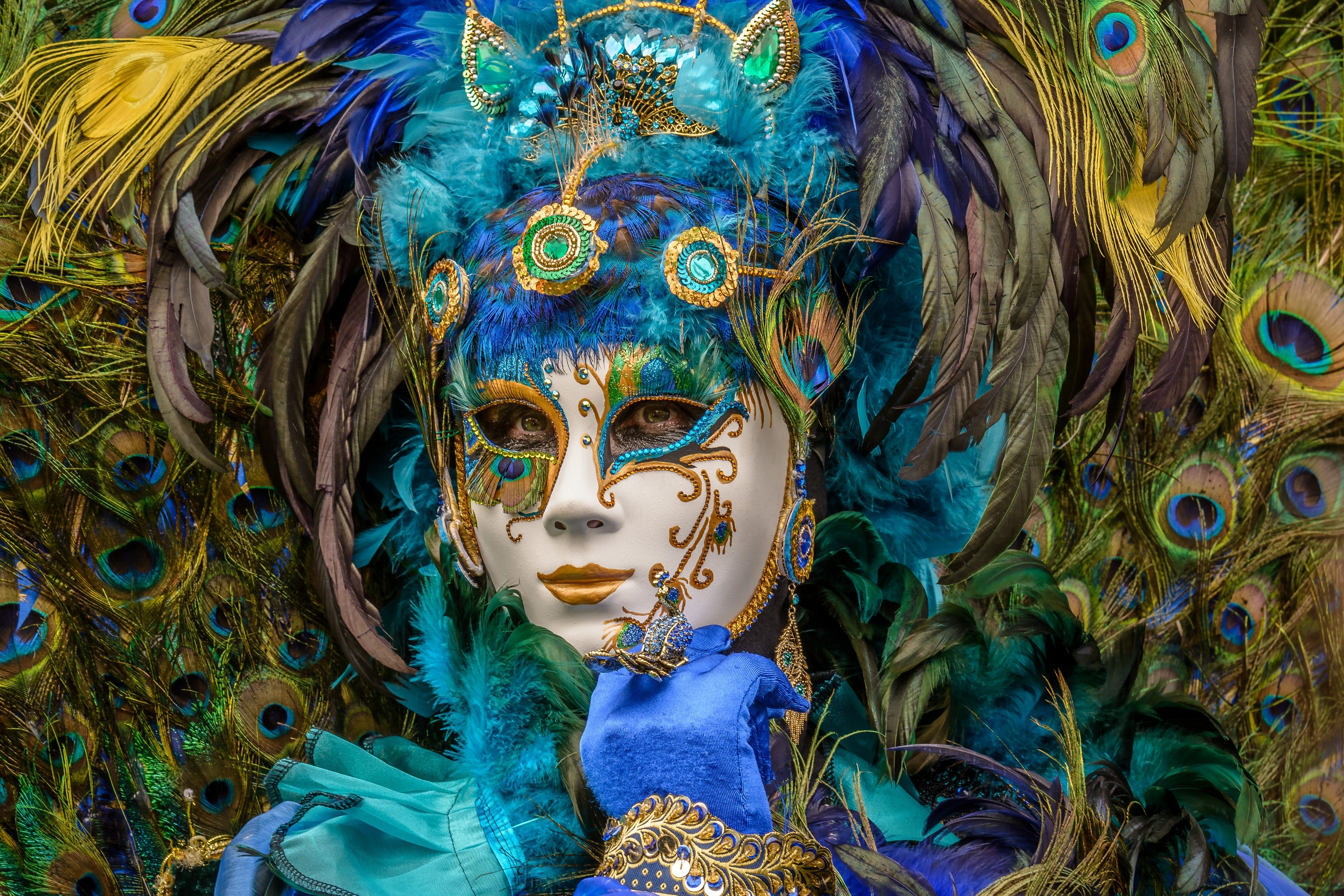 Обои стиль, маска, павлин, перья, карнавал, маскарад, style, mask, peacock, feathers, carnival, masquerade разрешение 4647x3098 Загрузить